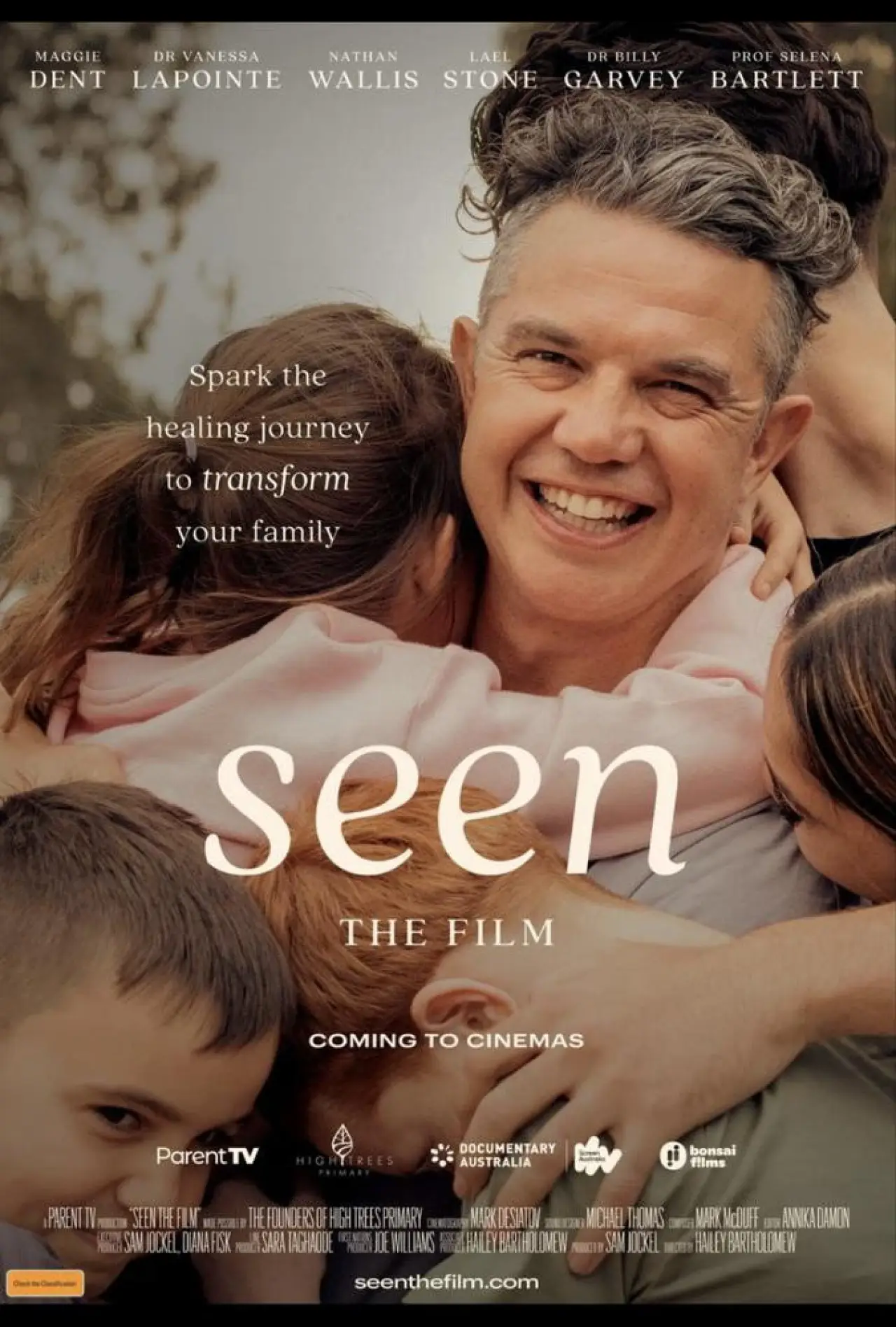 Постер к фильму "Seen"