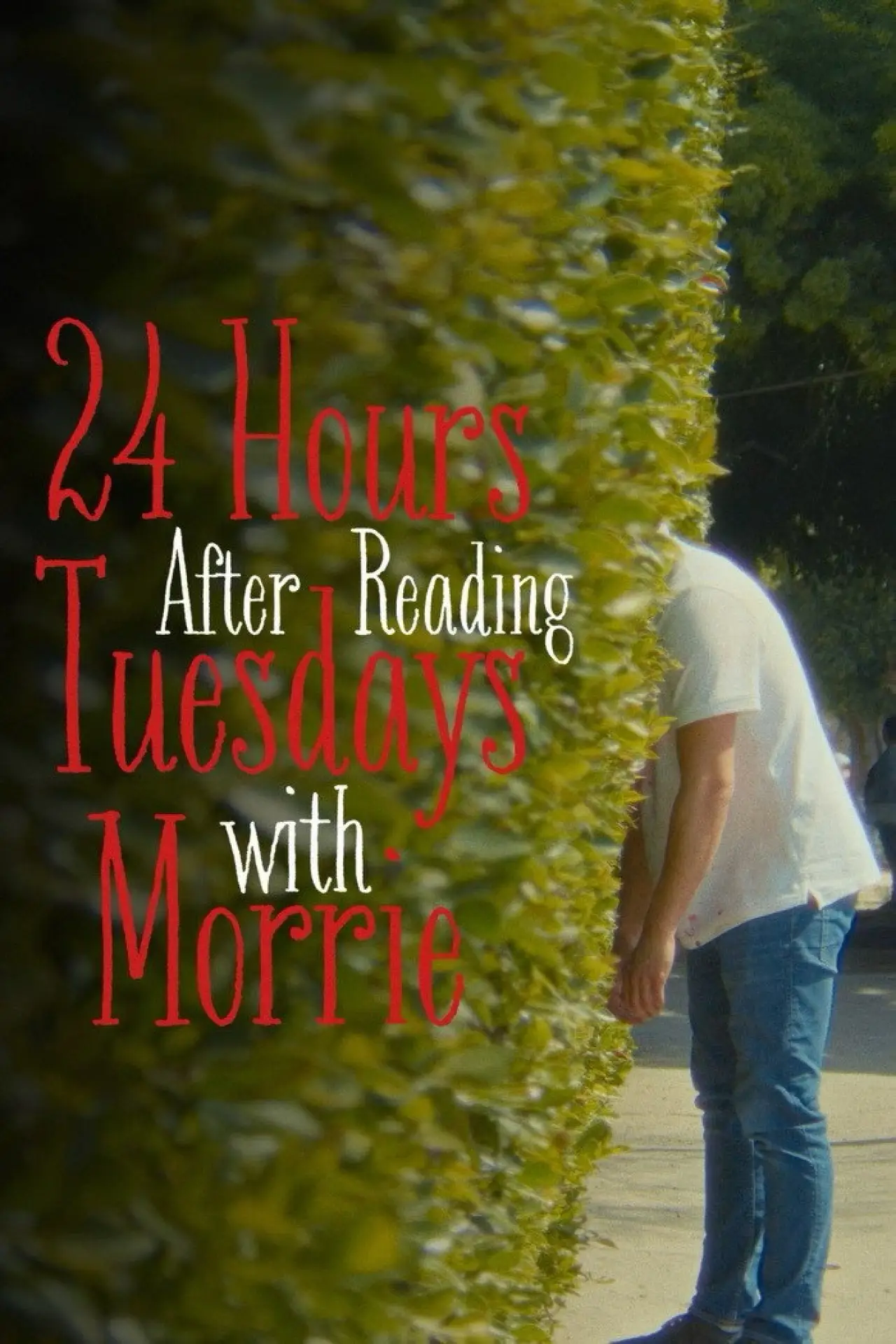 Постер к фильму "24 Hours After Reading Tuesdays with Morrie"