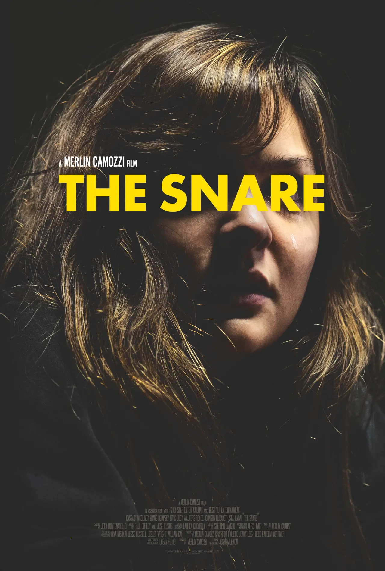 Постер к фильму "The Snare"