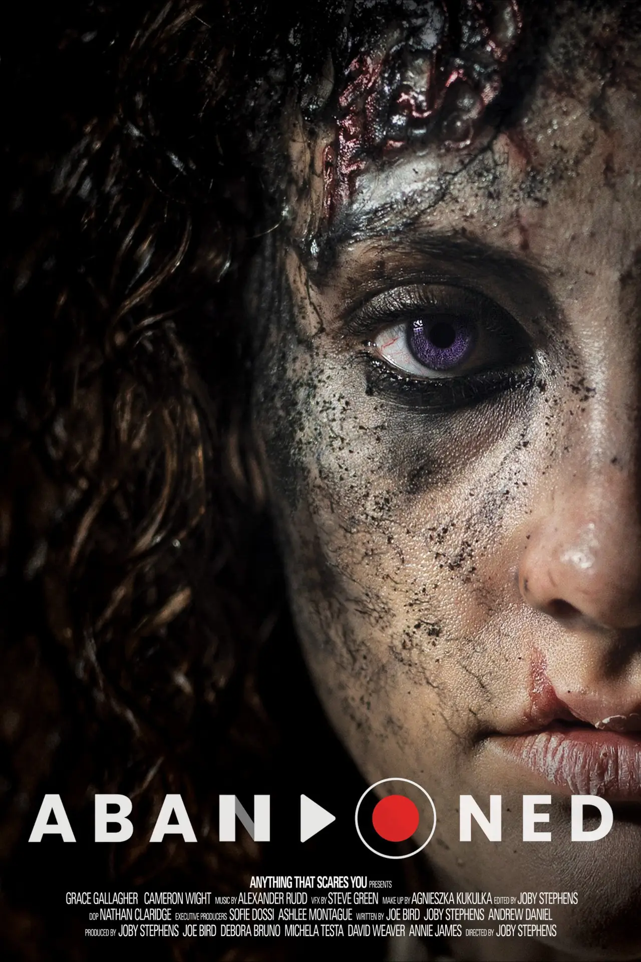 Постер к фильму "Abandoned"