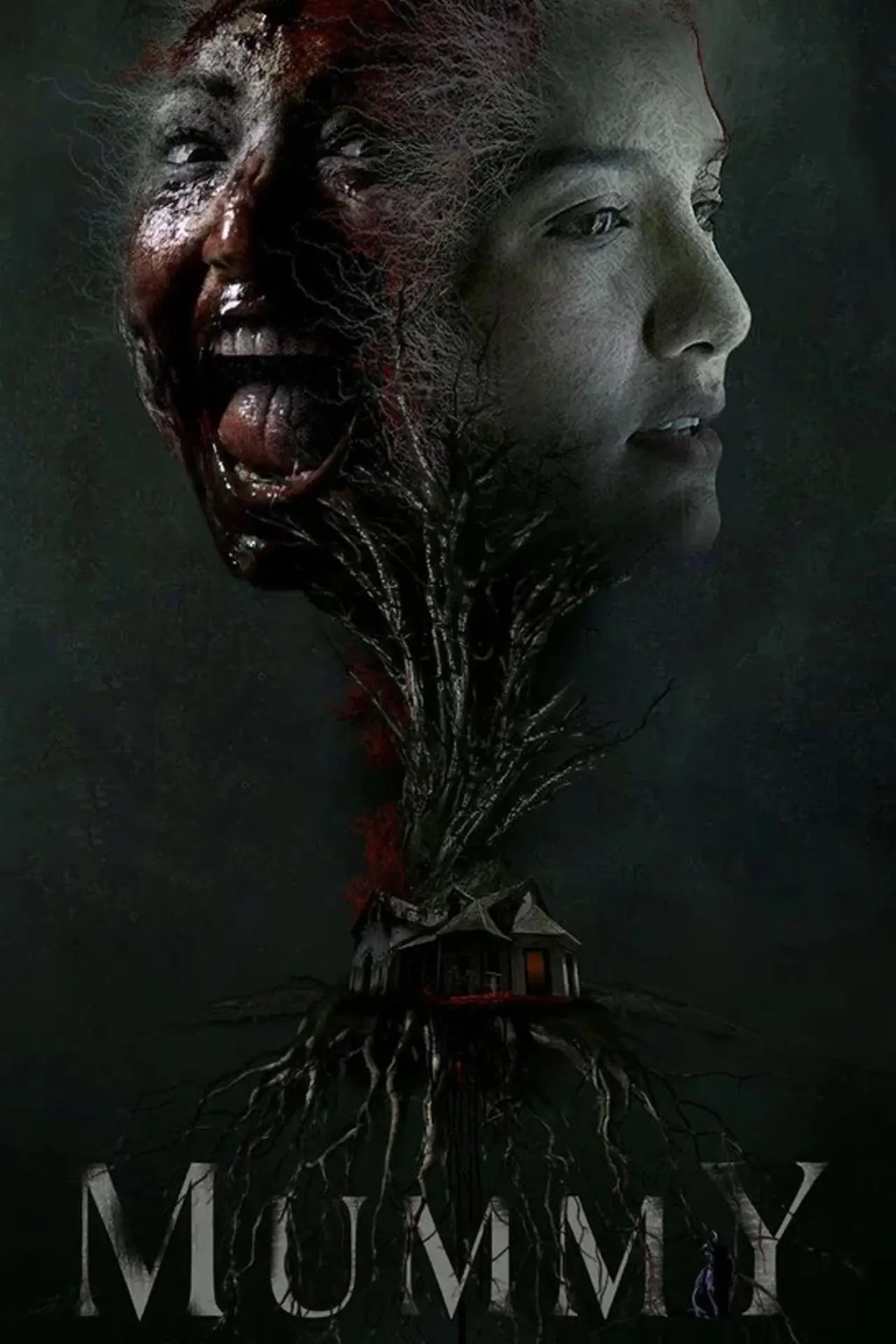 Постер к фильму "Mummy"