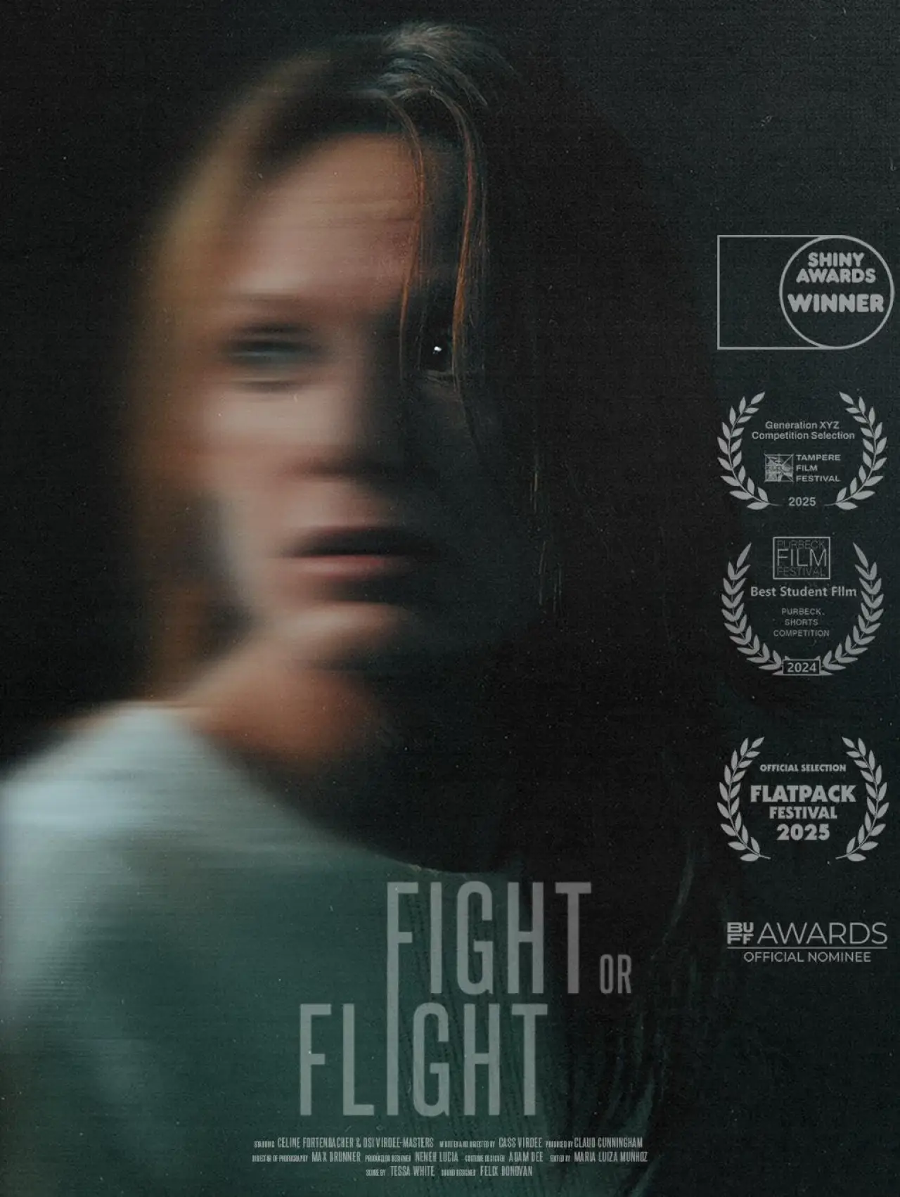 Постер к фильму "Fight or Flight"