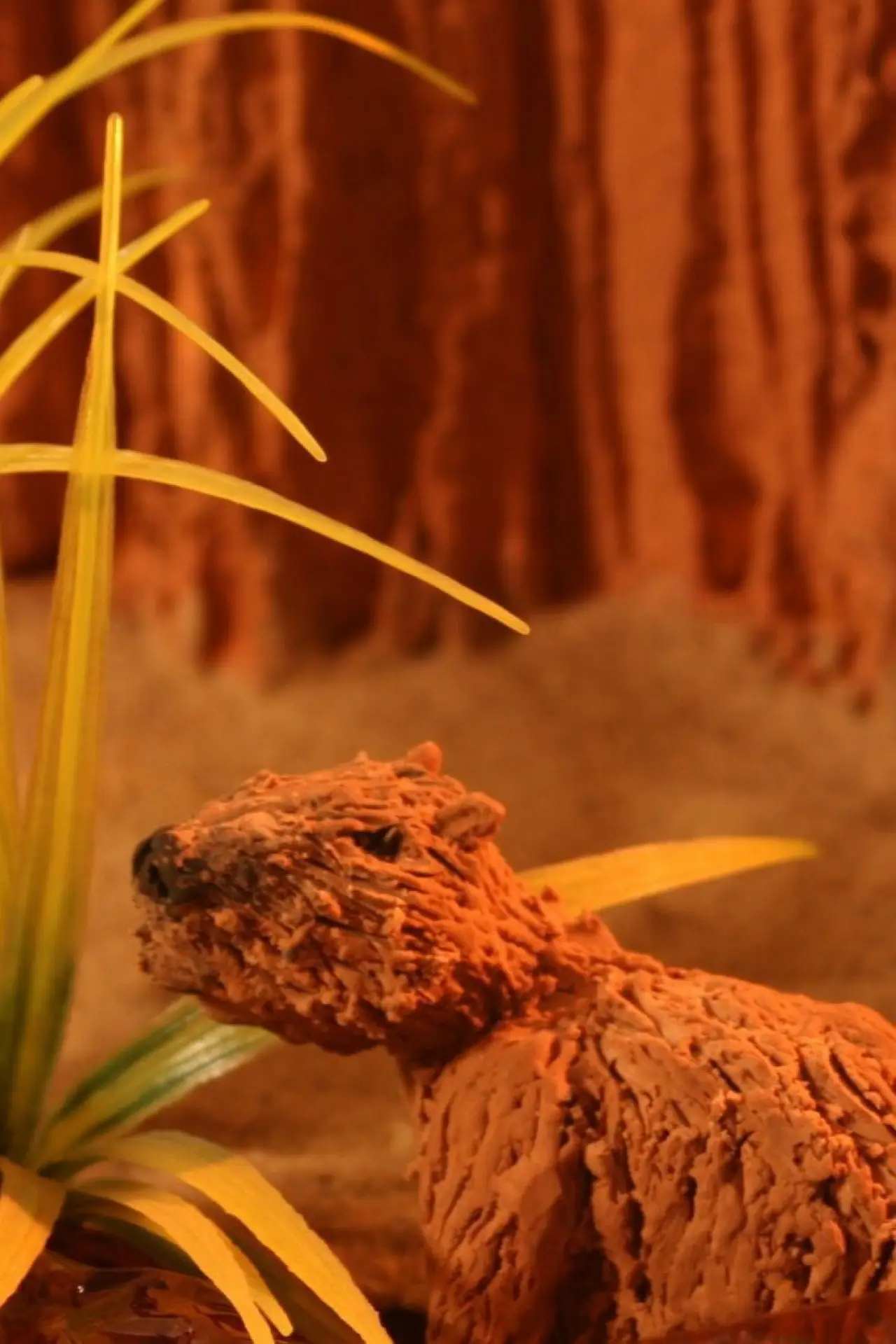 Постер к фильму "Capibara"