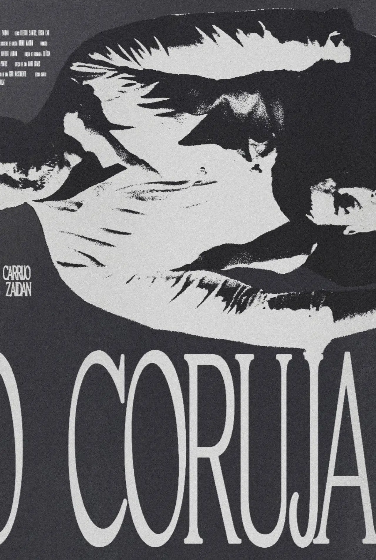 Постер к фильму "O Coruja"