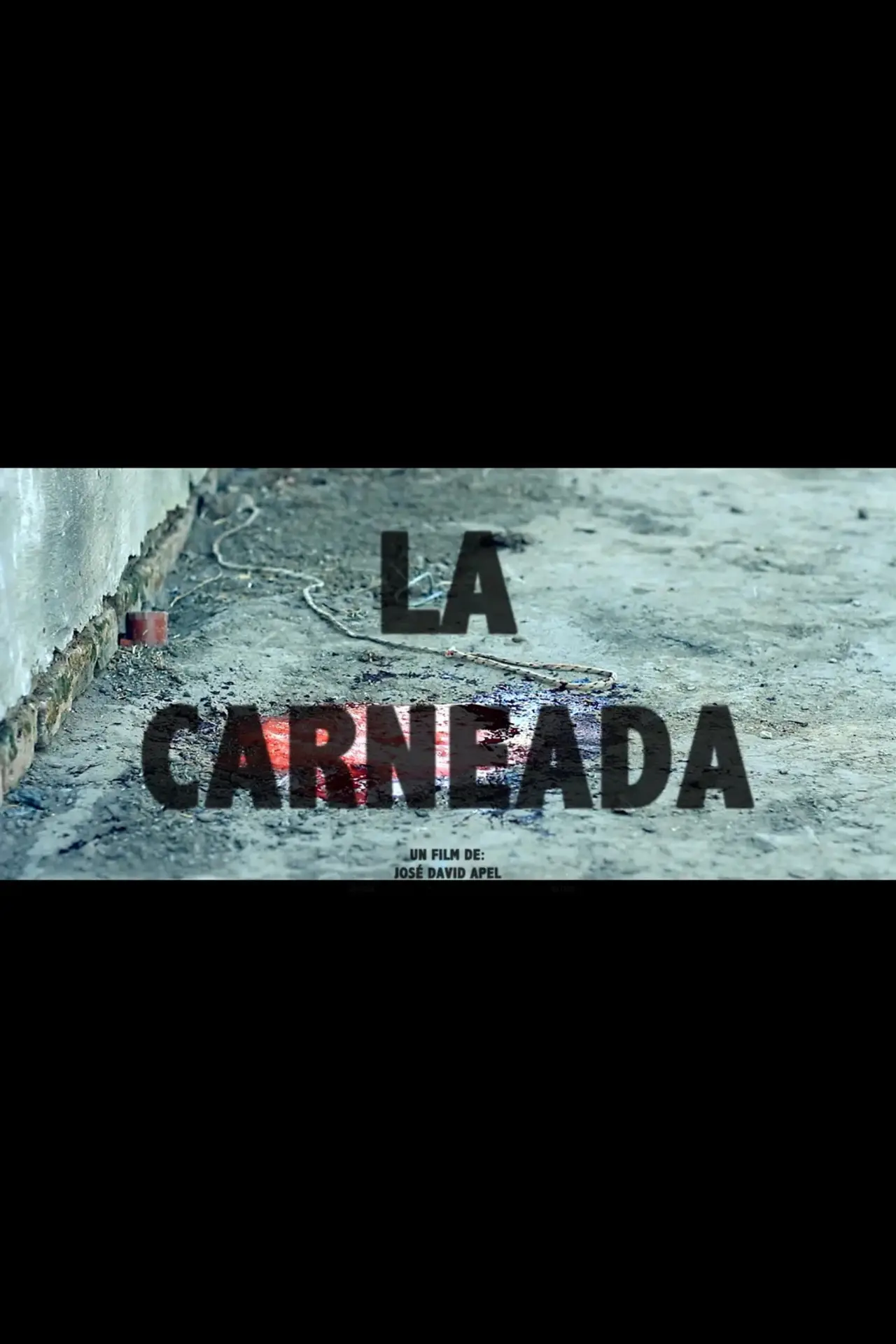 Постер к фильму "La Carneada"