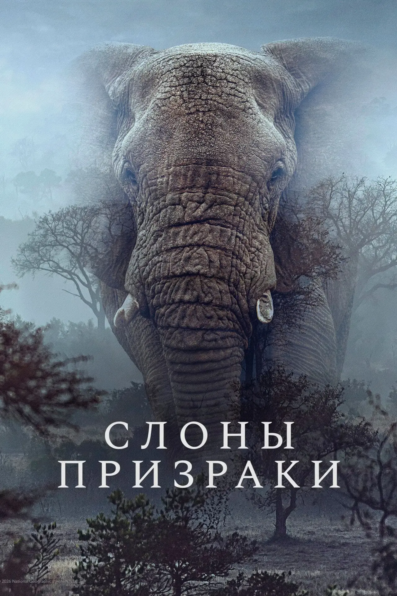 Постер к фильму "Слоны-призраки"