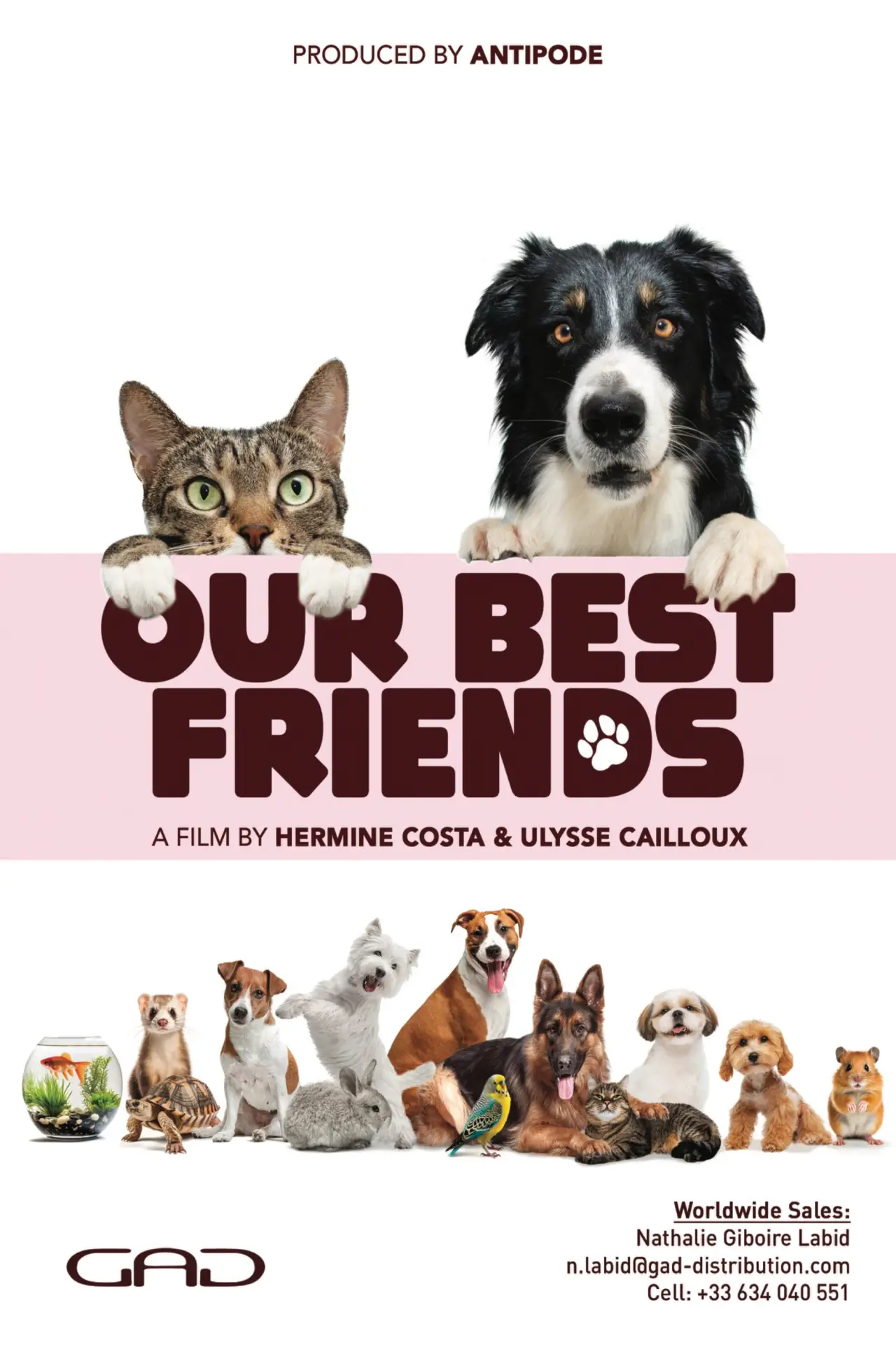 Постер к фильму "Nos très chers animaux"