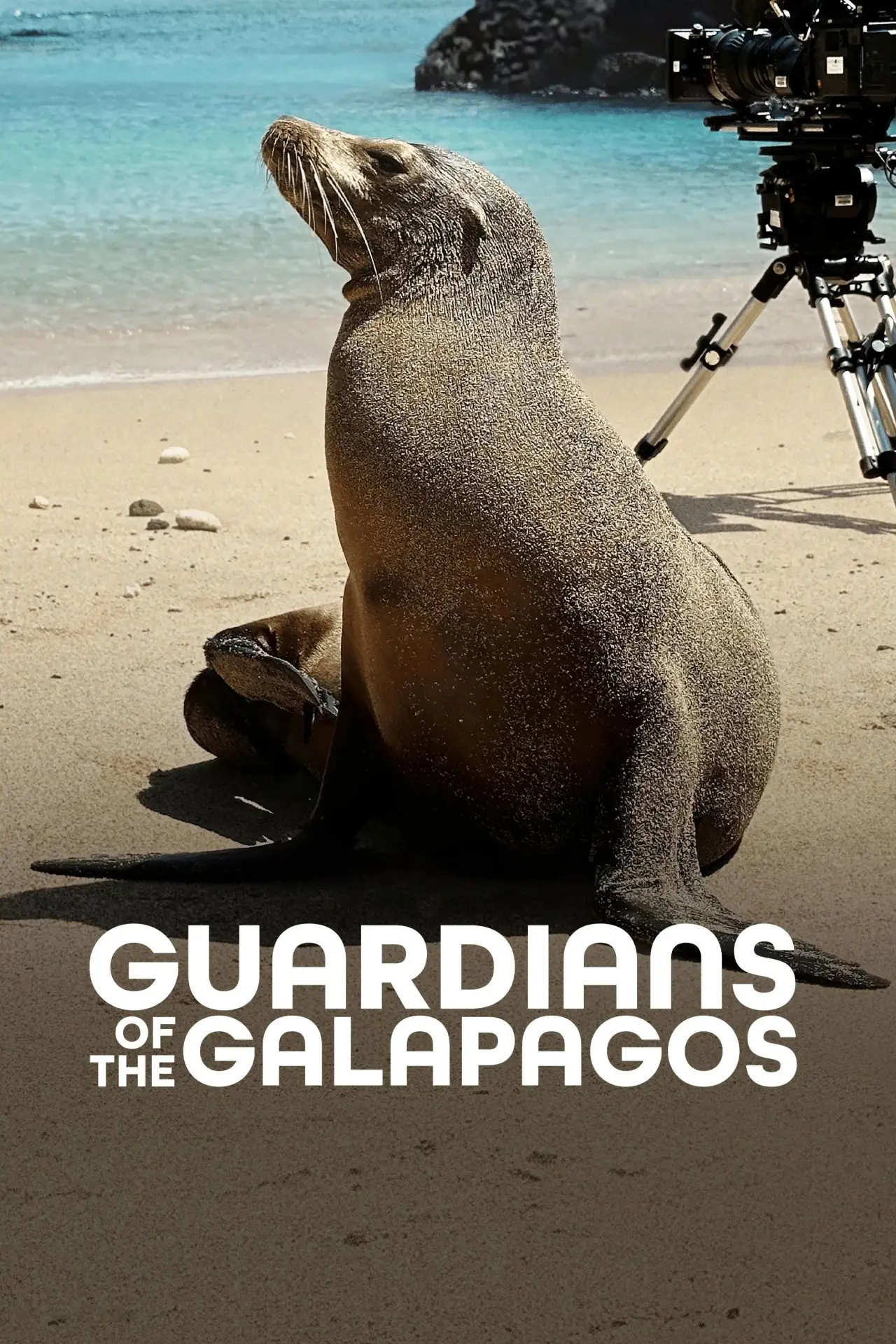 Постер к фильму "Guardians of the Galapagos"