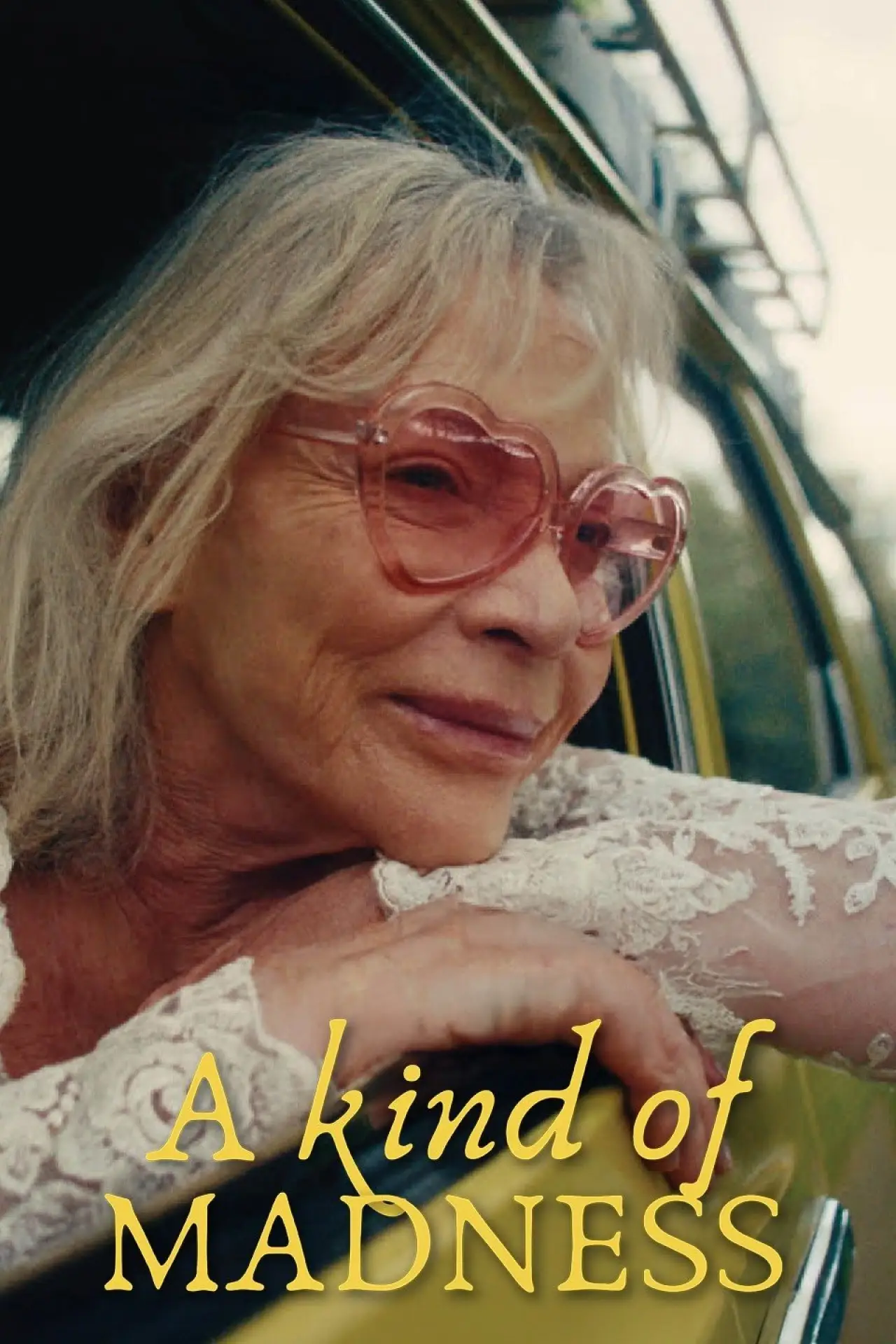 Постер к фильму "A Kind of Madness"