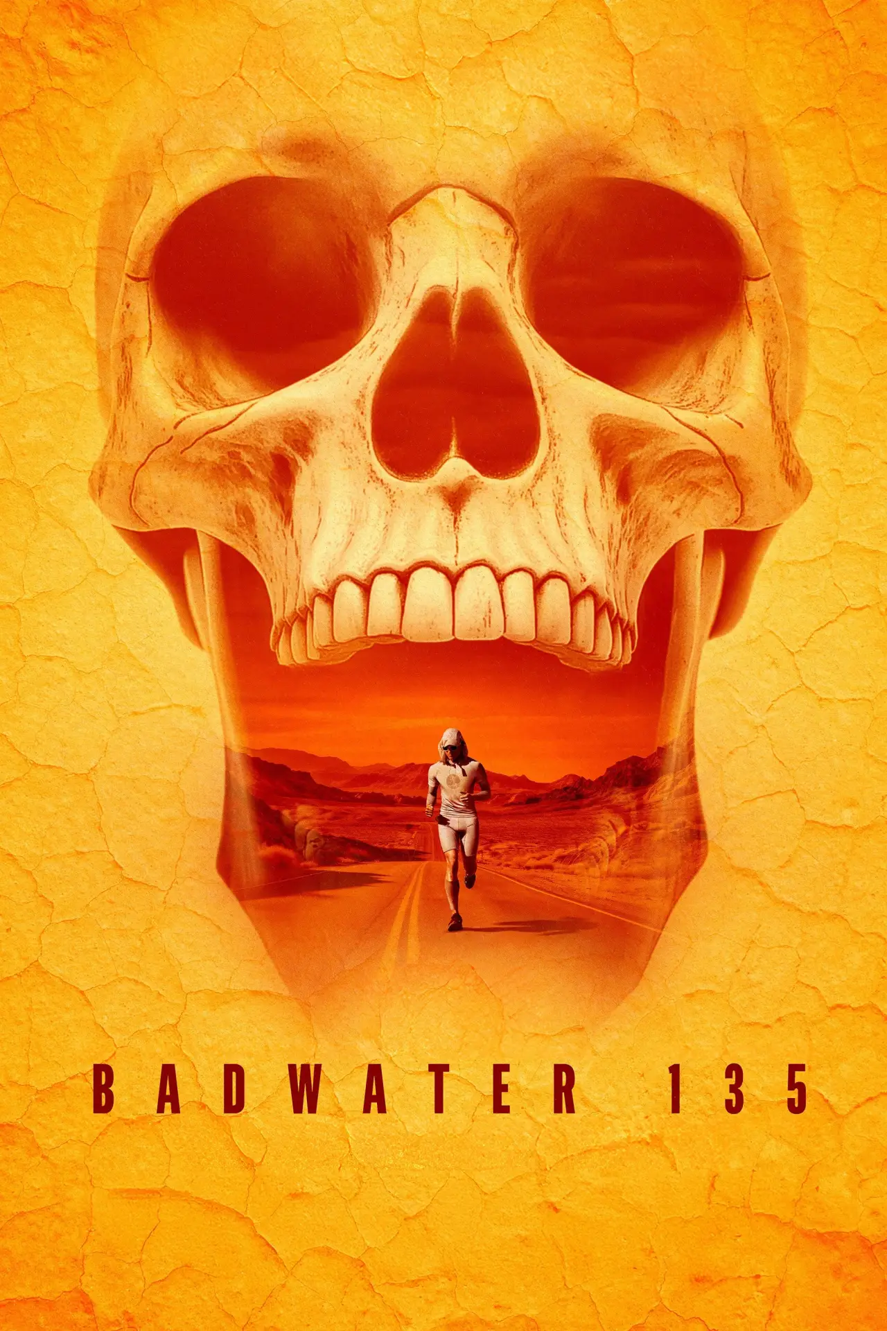 Постер к фильму "The Badwater 135: ULTRA - The Long Run"