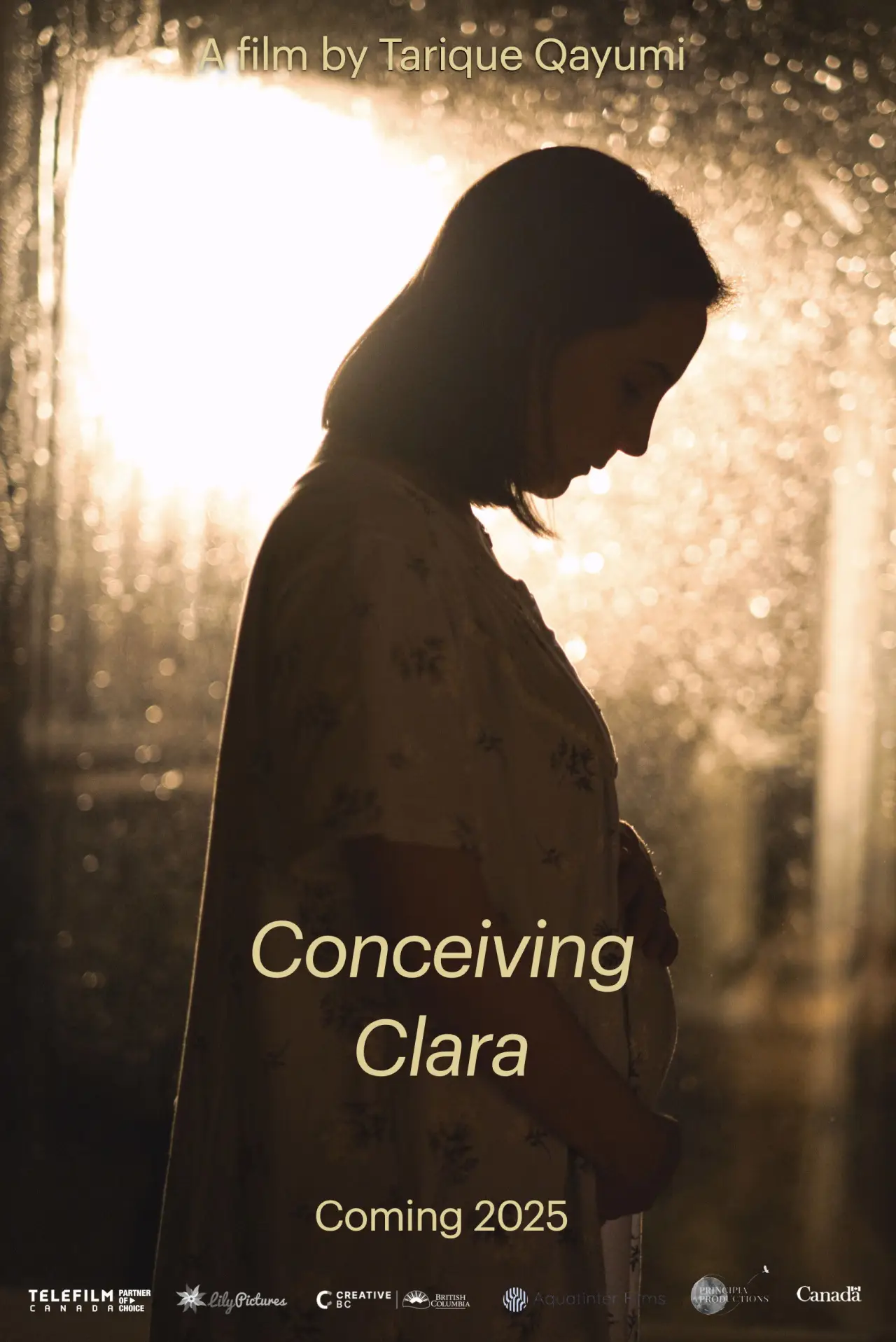 Постер к фильму "Conceiving Clara"