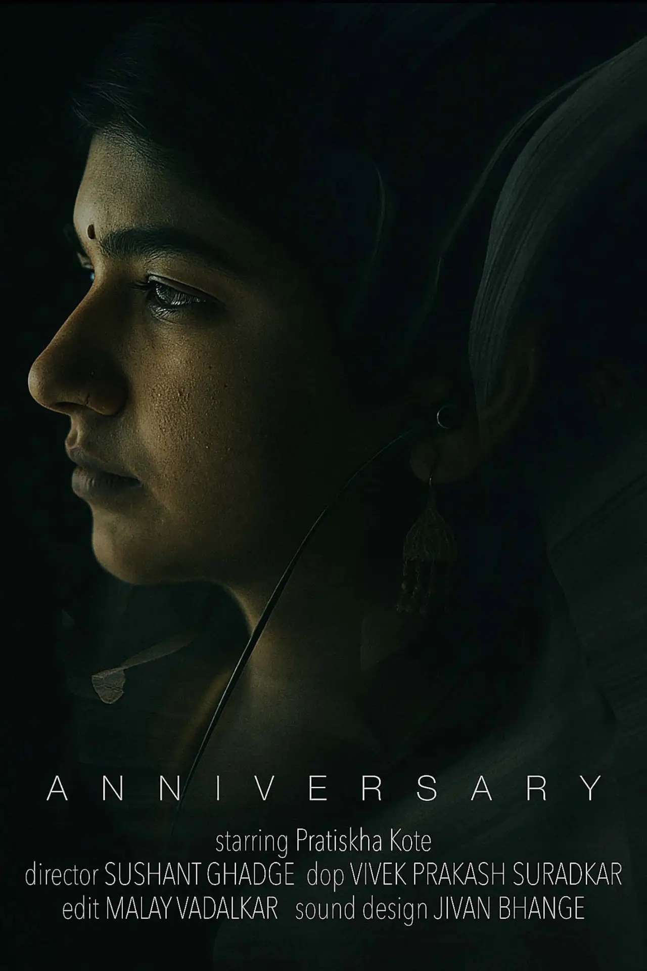 Постер к фильму "Anniversary"