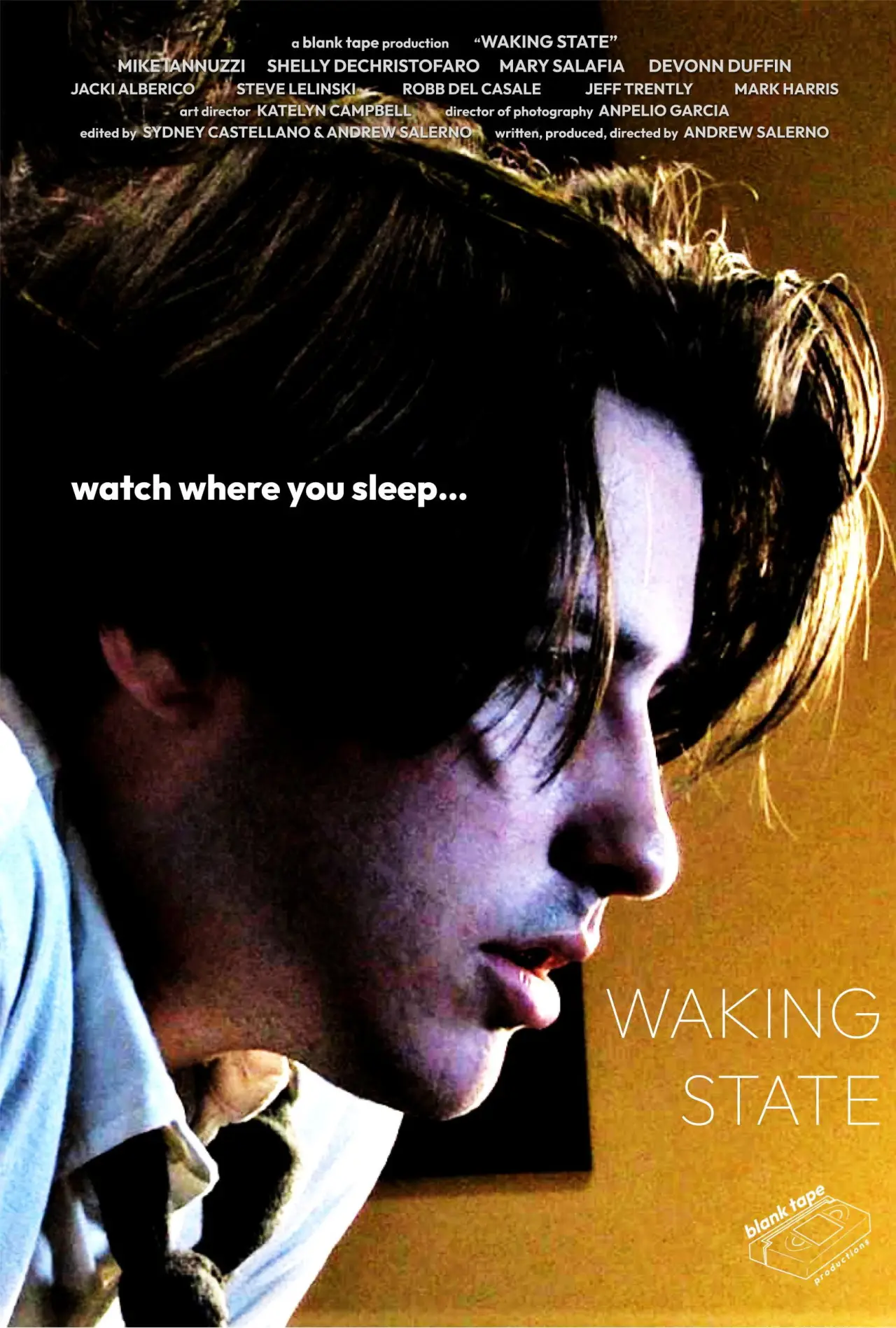 Постер к фильму "Waking State"