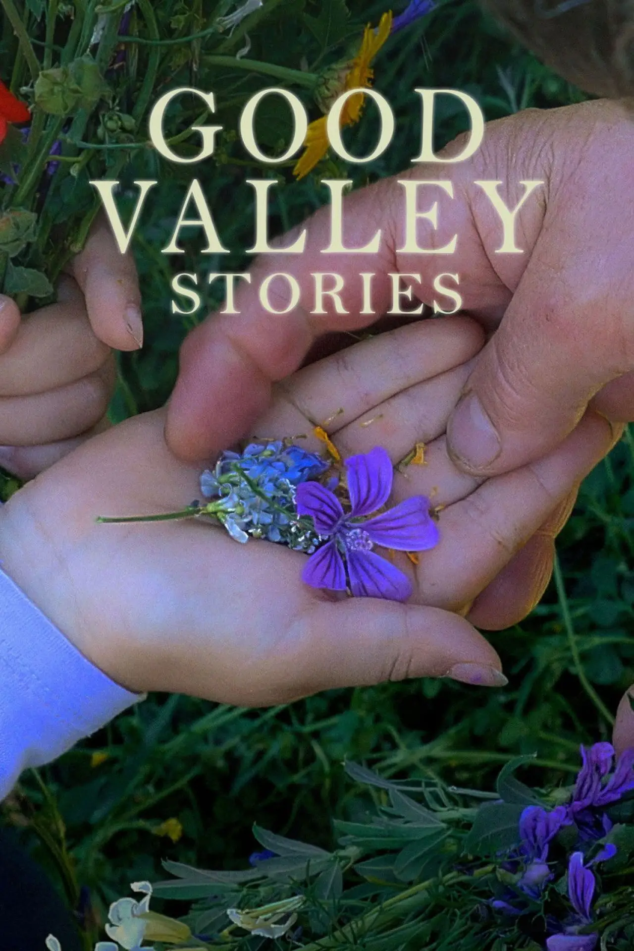 Постер к фильму "Historias del buen valle"