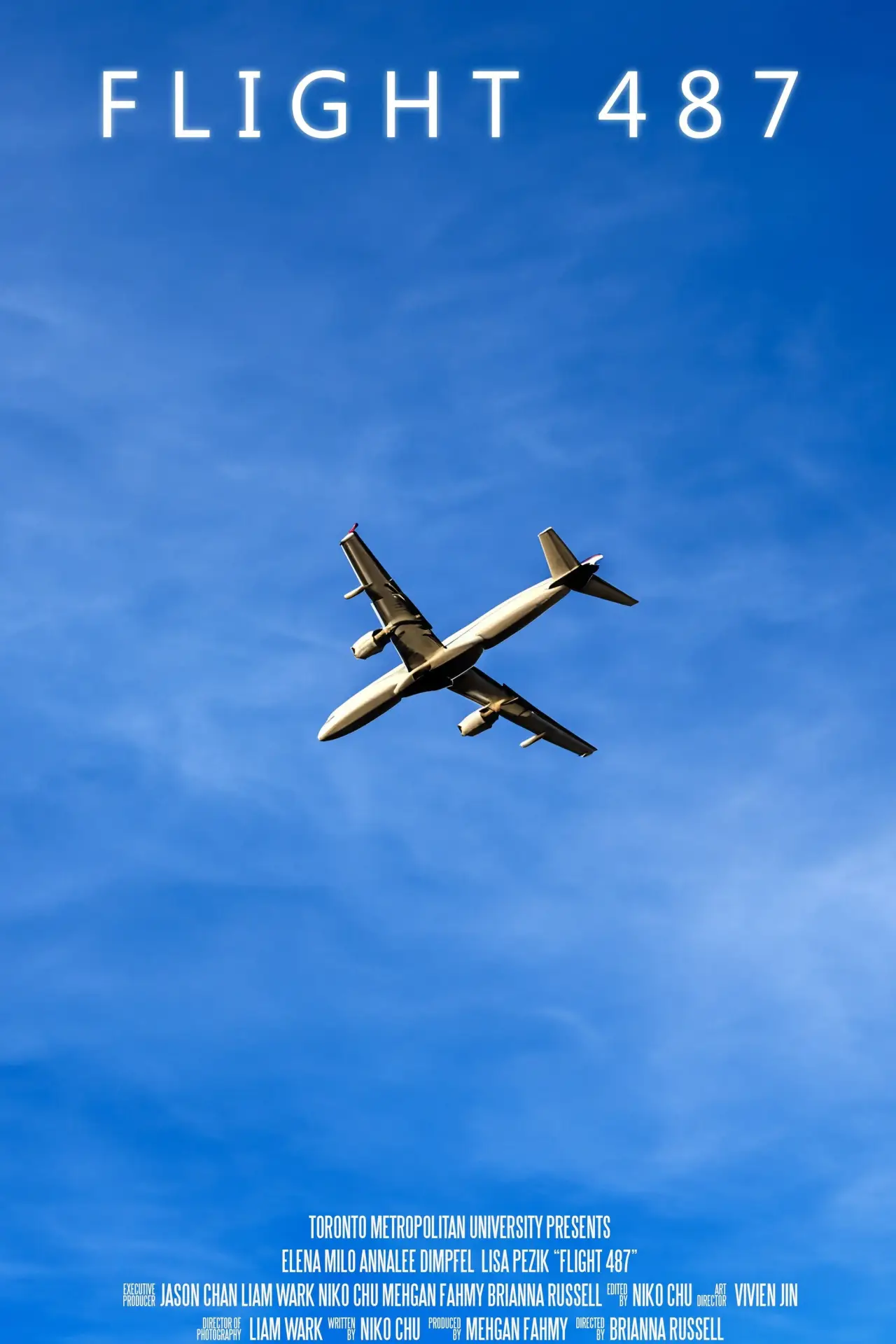 Постер к фильму "Flight 487"