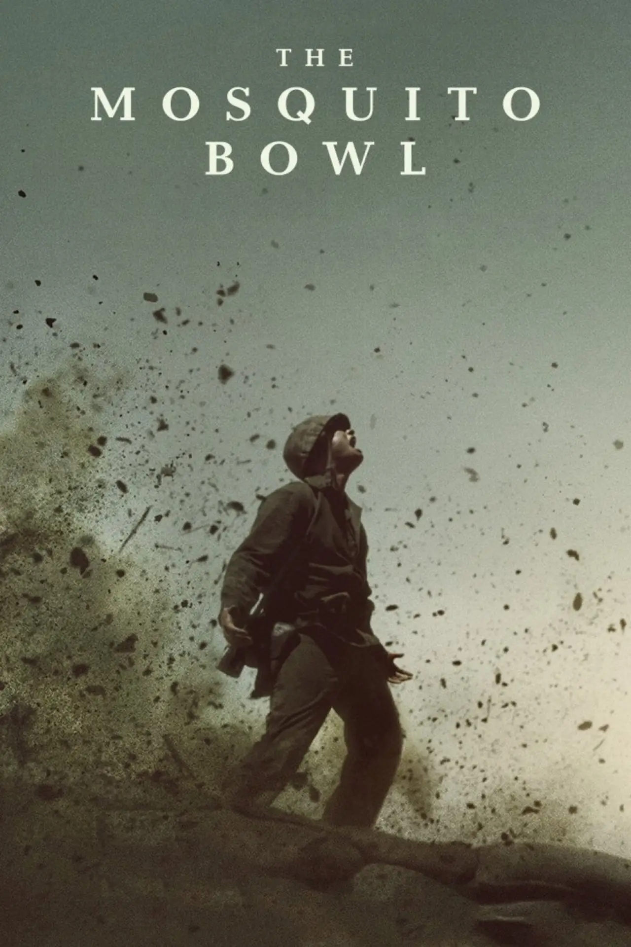 Постер к фильму "The Mosquito Bowl"
