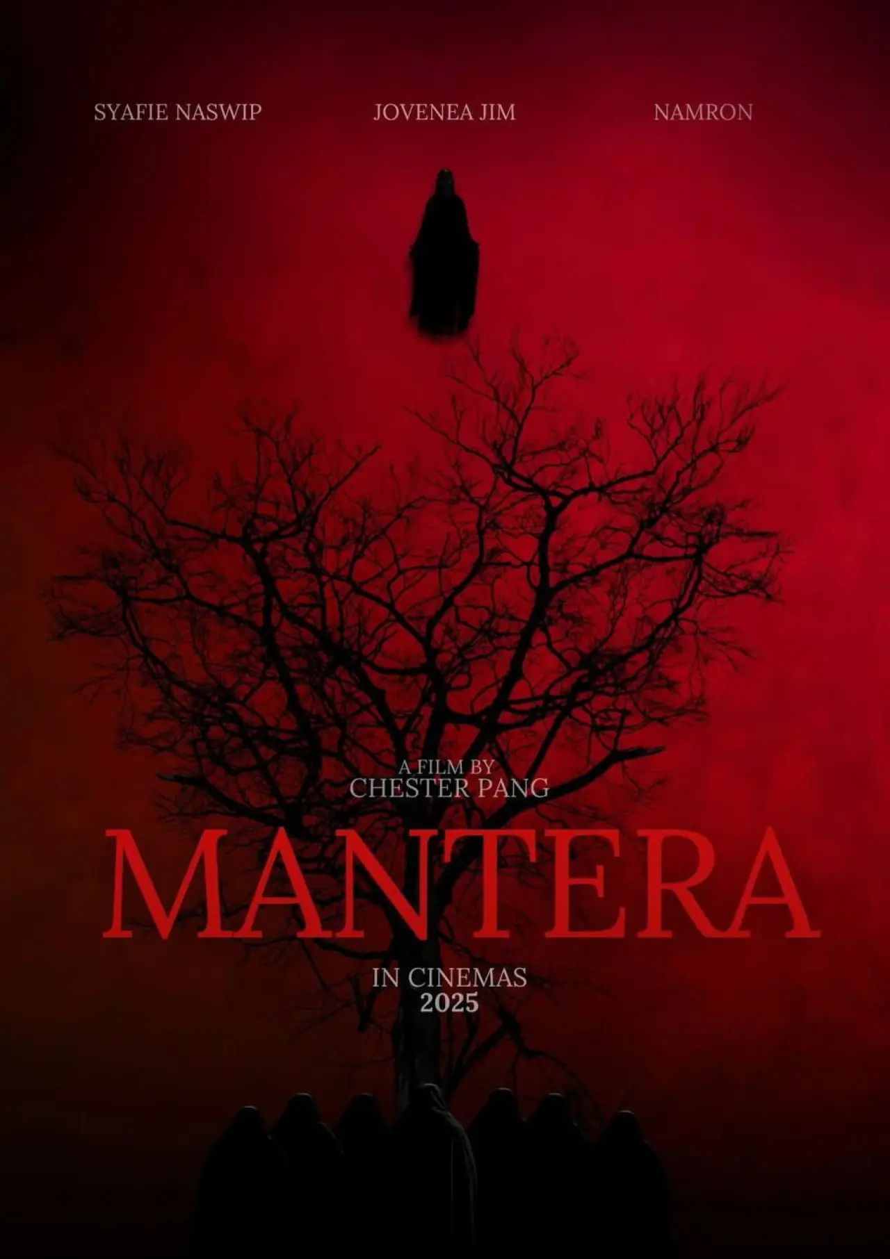 Постер к фильму "Mantera"