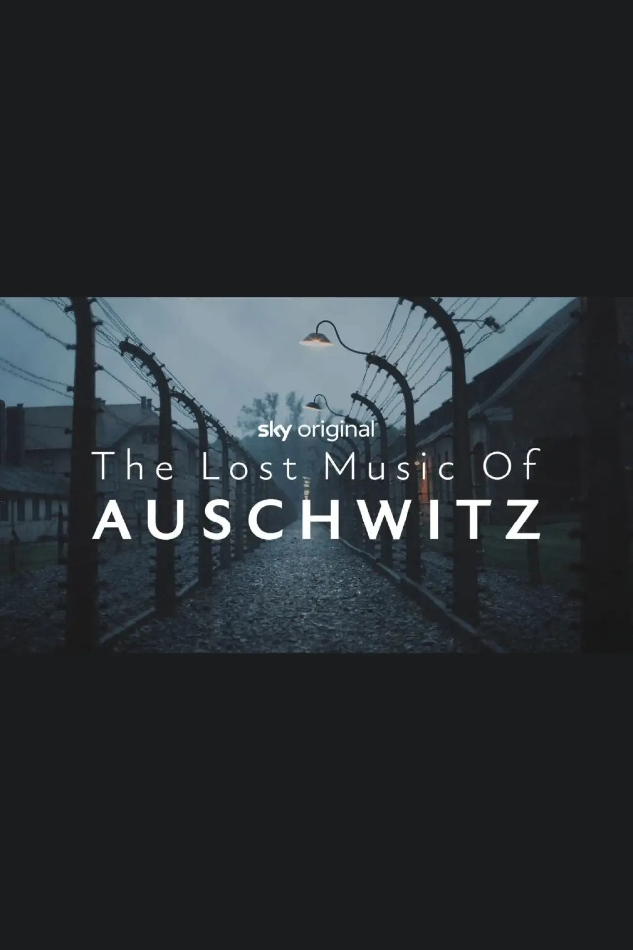 Постер к фильму "The Lost Music of Auschwitz"
