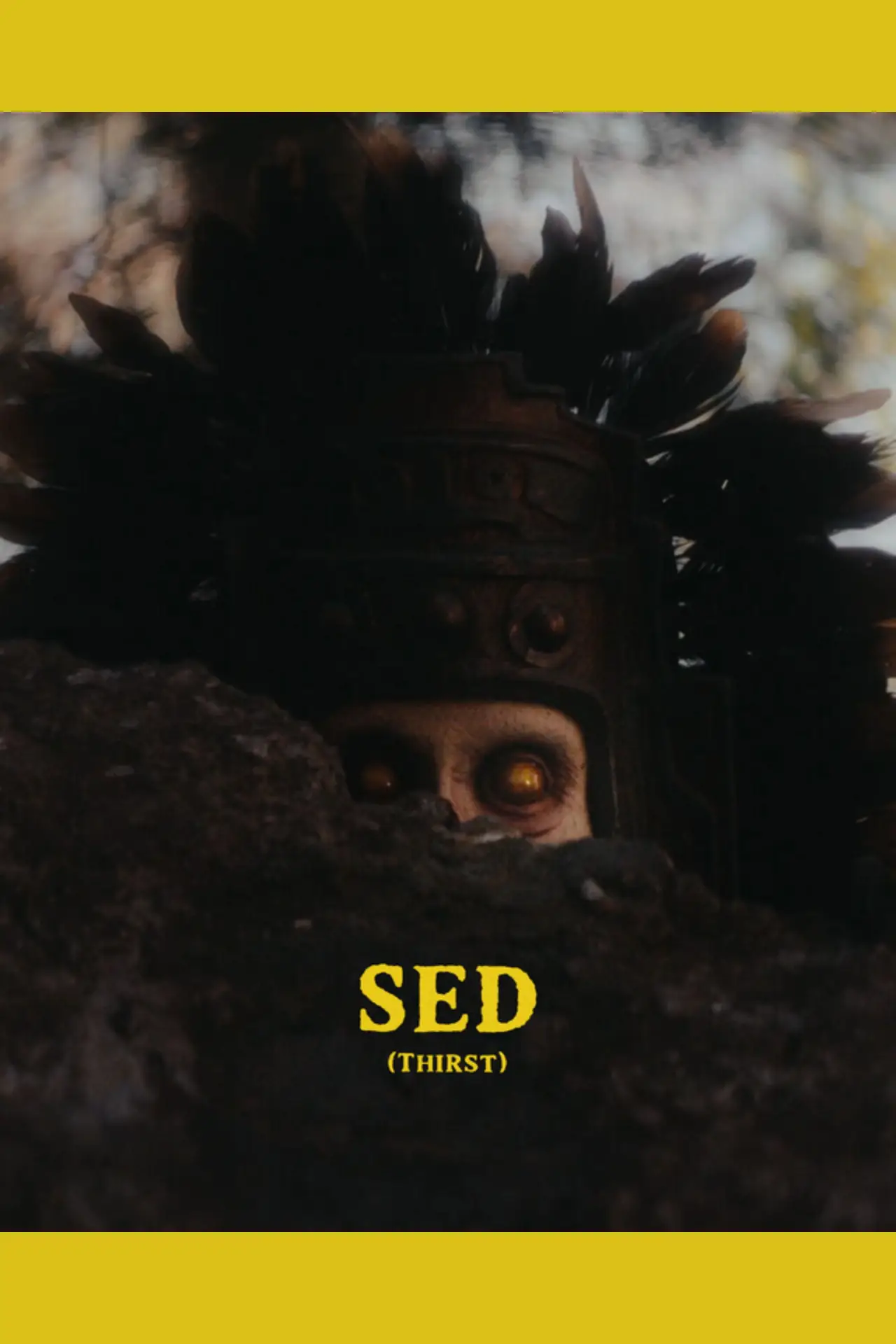 Постер к фильму "SED"