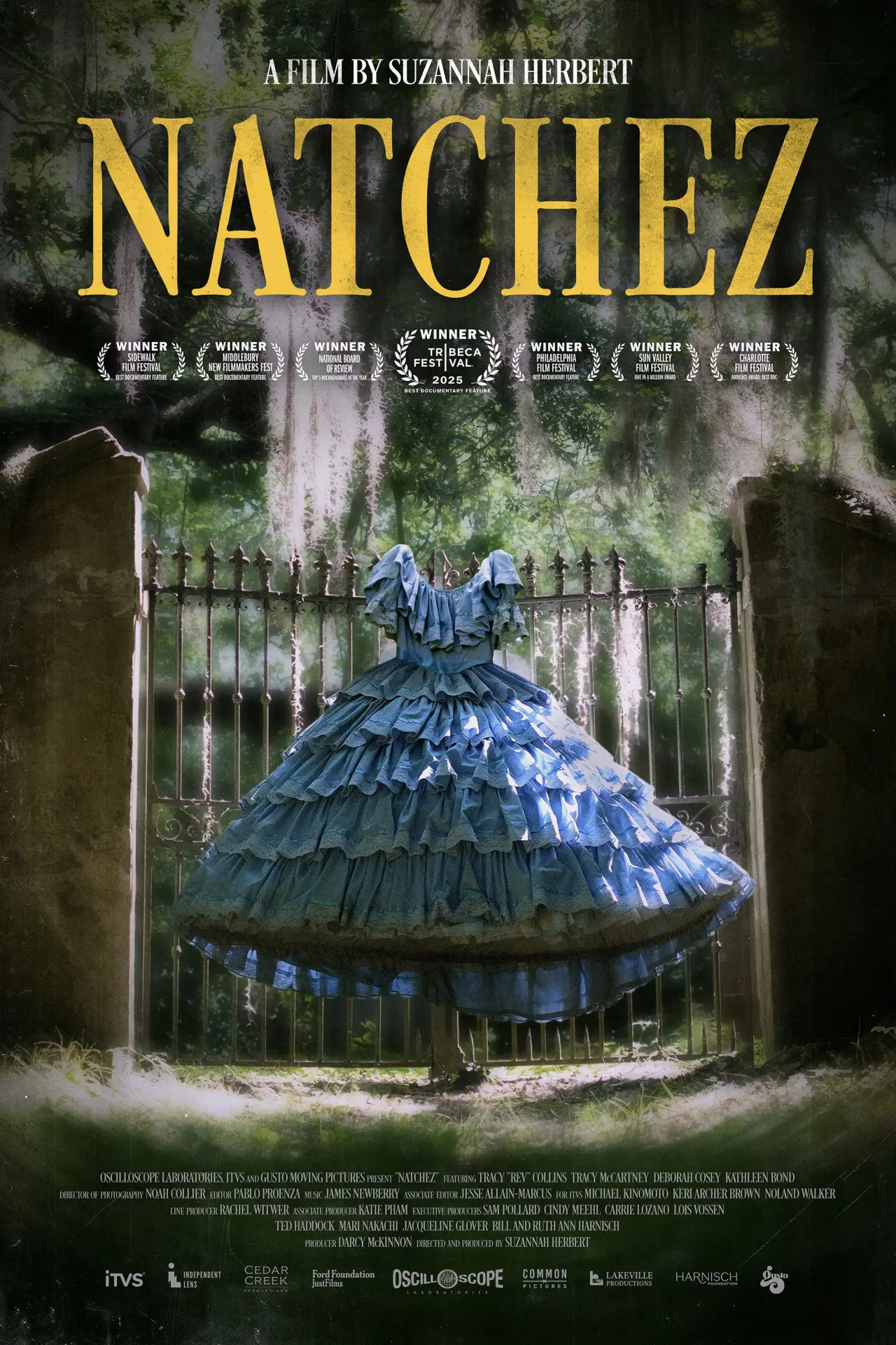 Постер к фильму "Natchez"