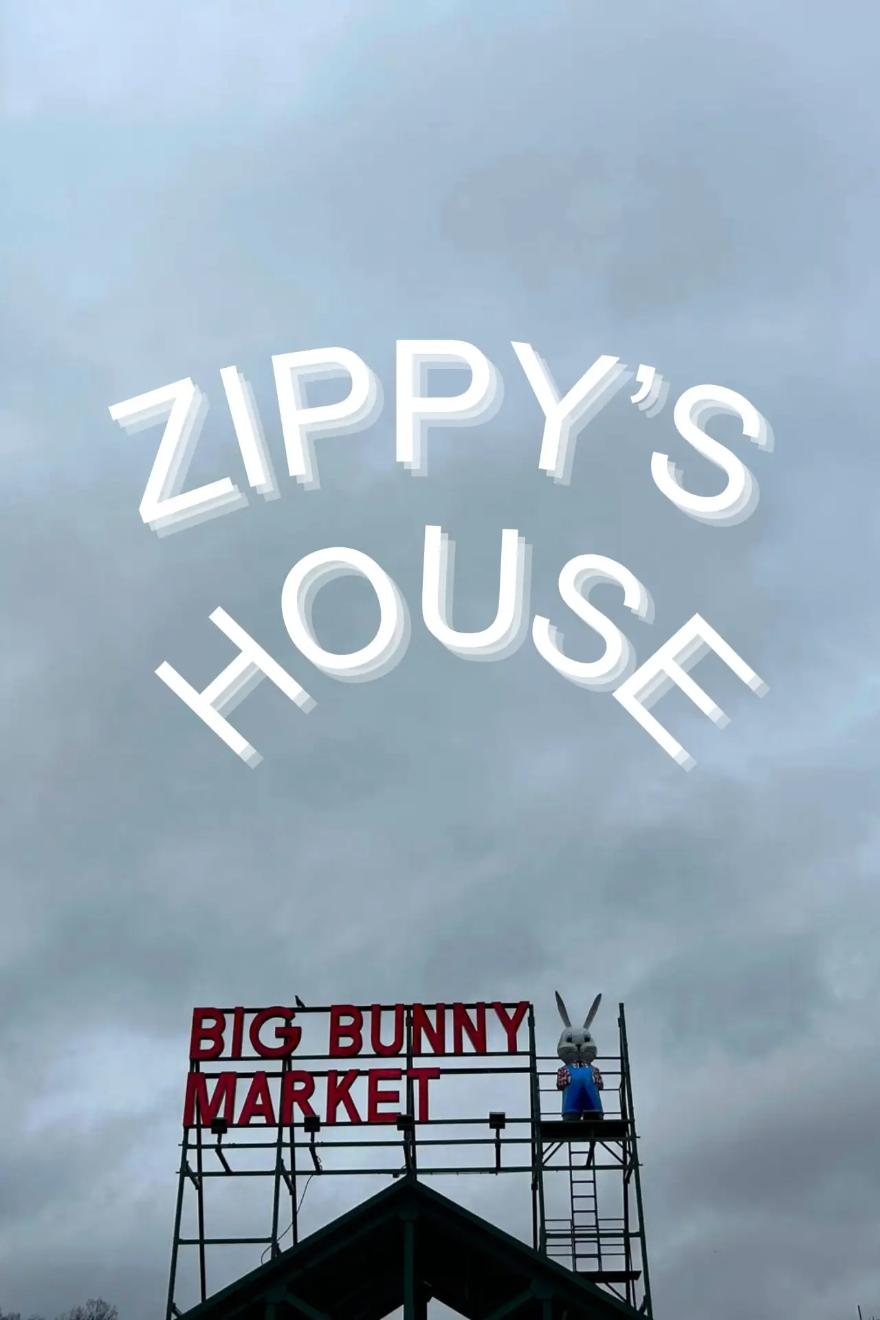 Постер к фильму "Zippy