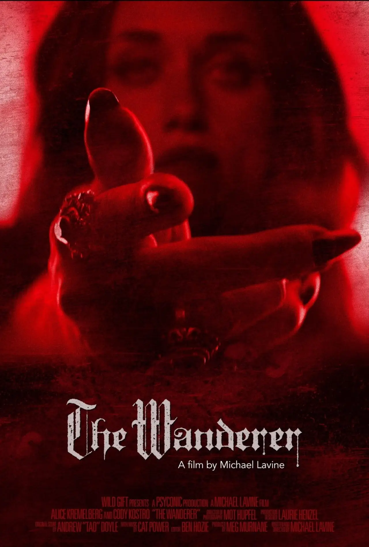 Постер к фильму "The Wanderer"