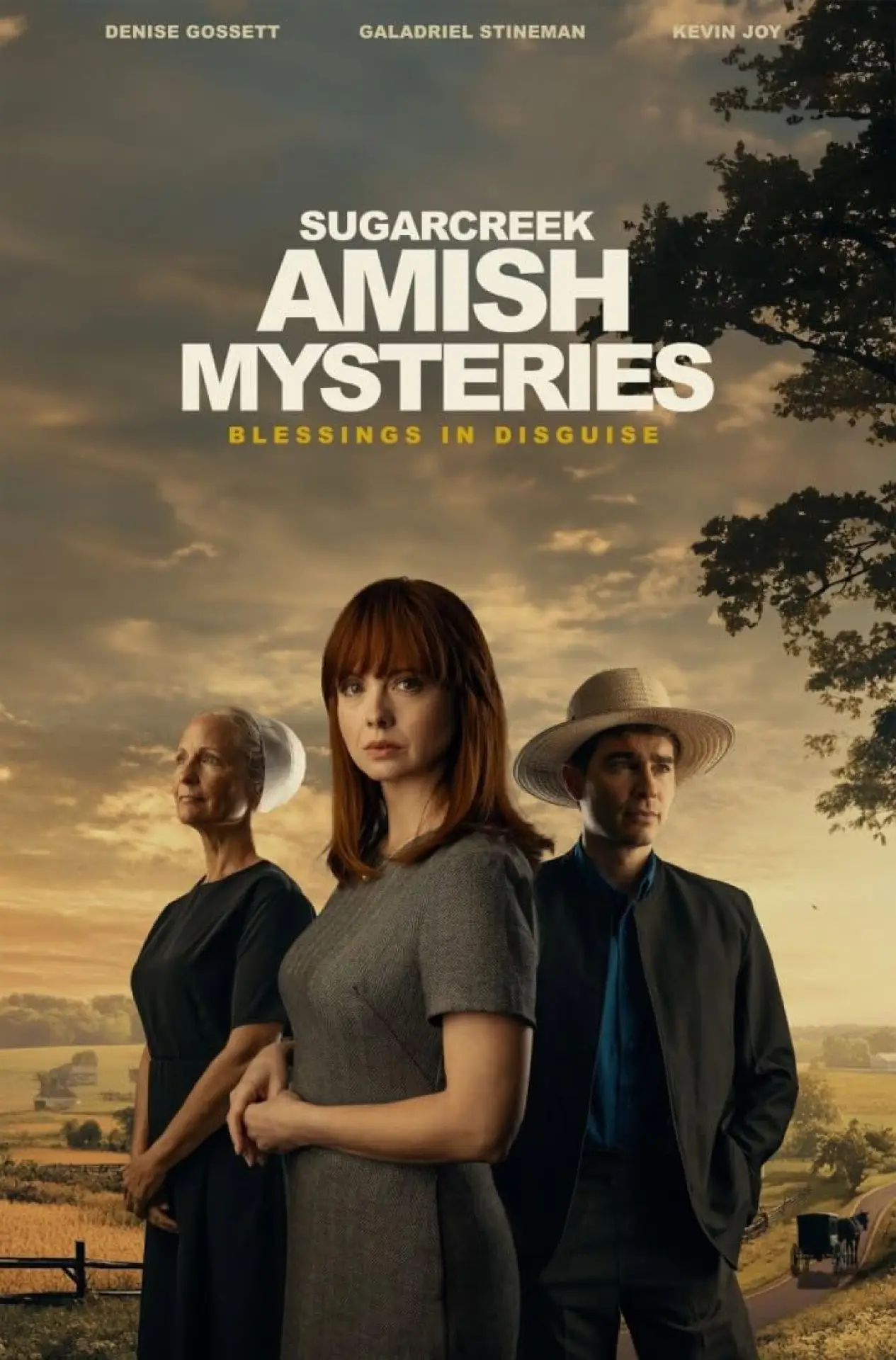 Постер к фильму "Sugarcreek Amish Mysteries: Blessings in Disguise"