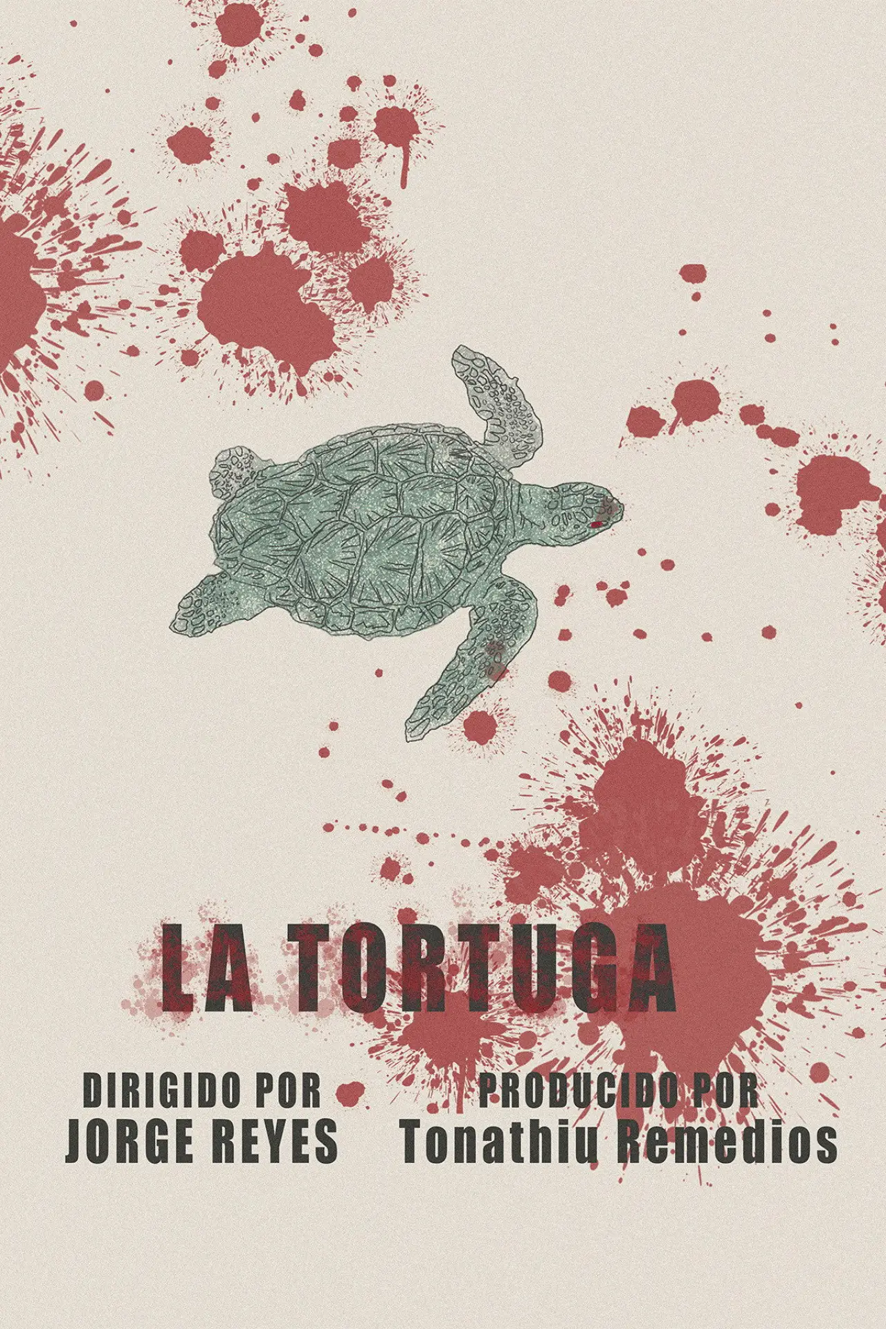 Постер к фильму "La Tortuga"