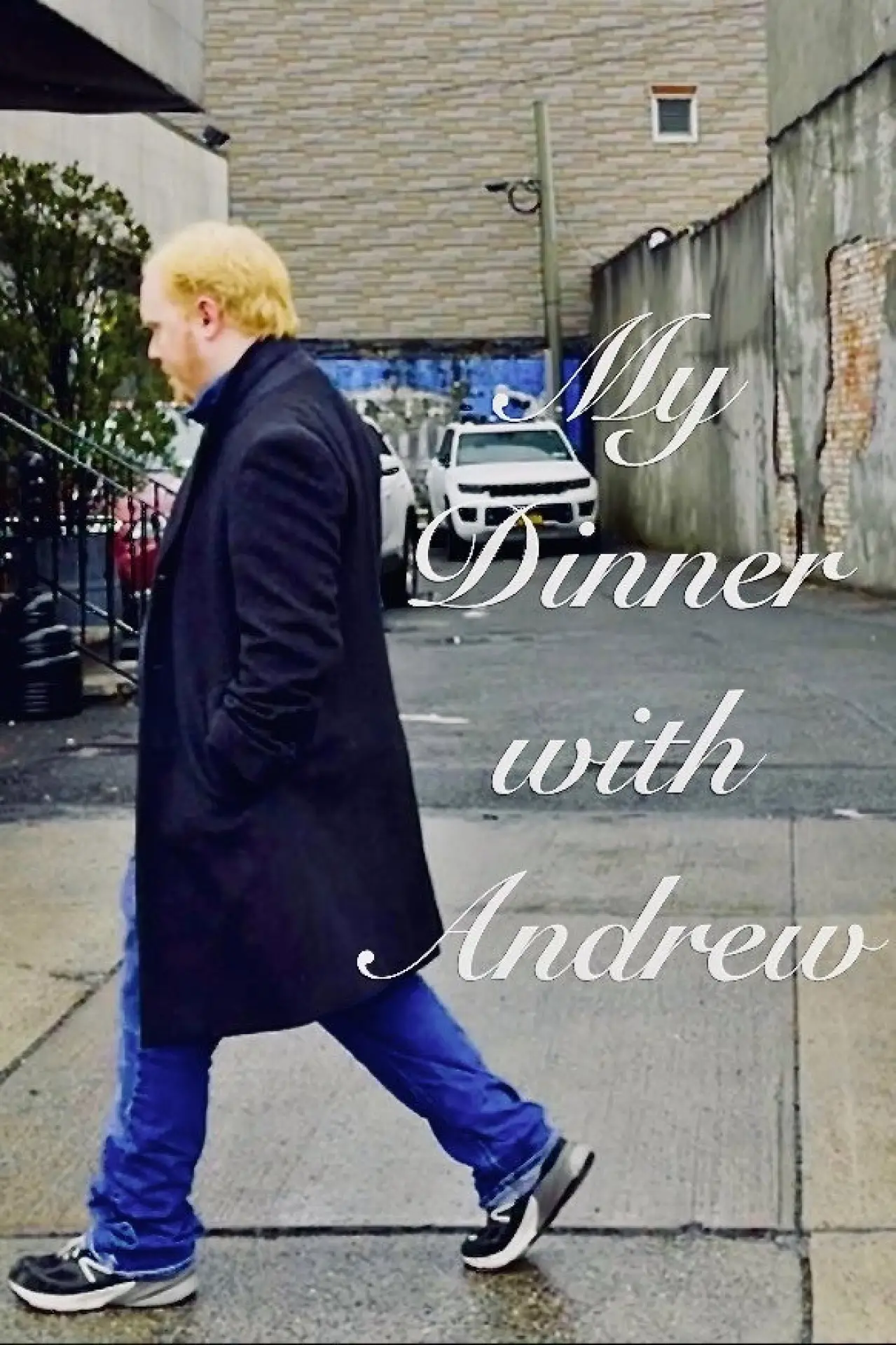Постер к фильму "My Dinner with Andrew"