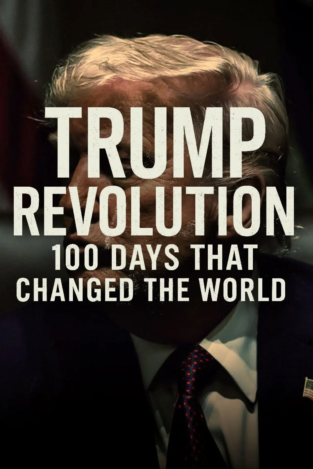 Постер к фильму "Trump Revolution: 100 Days That Changed the World"
