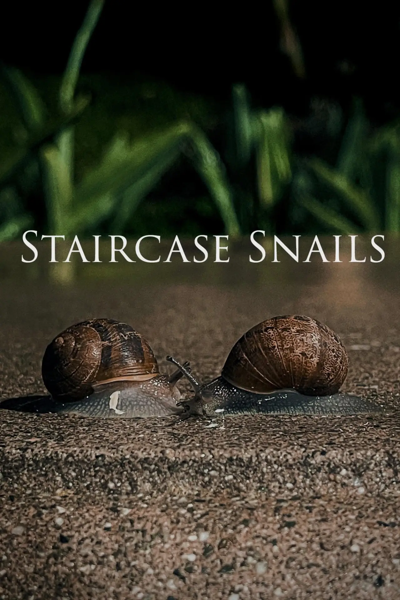 Постер к фильму "Staircase Snails"