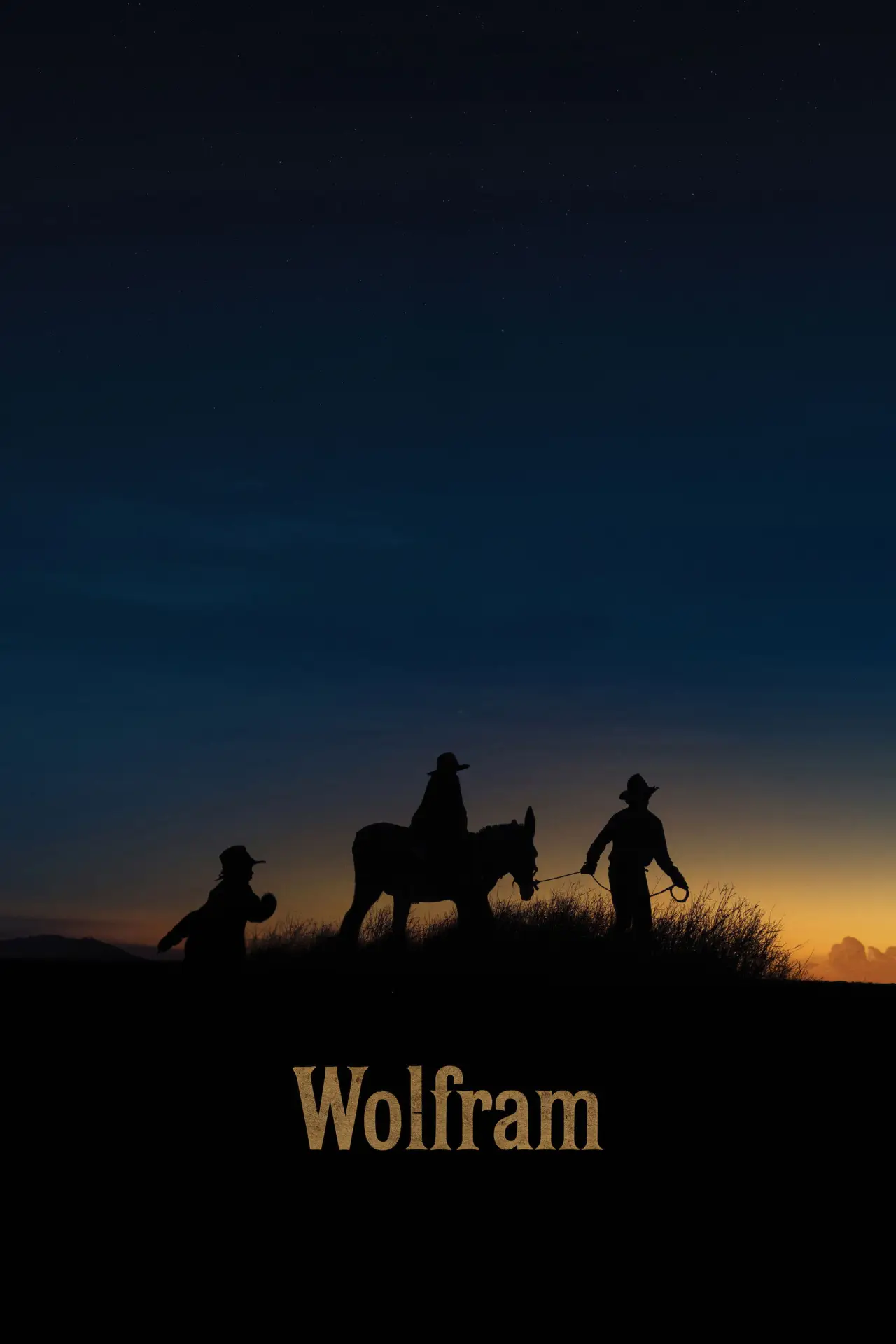 Постер к фильму "Wolfram"