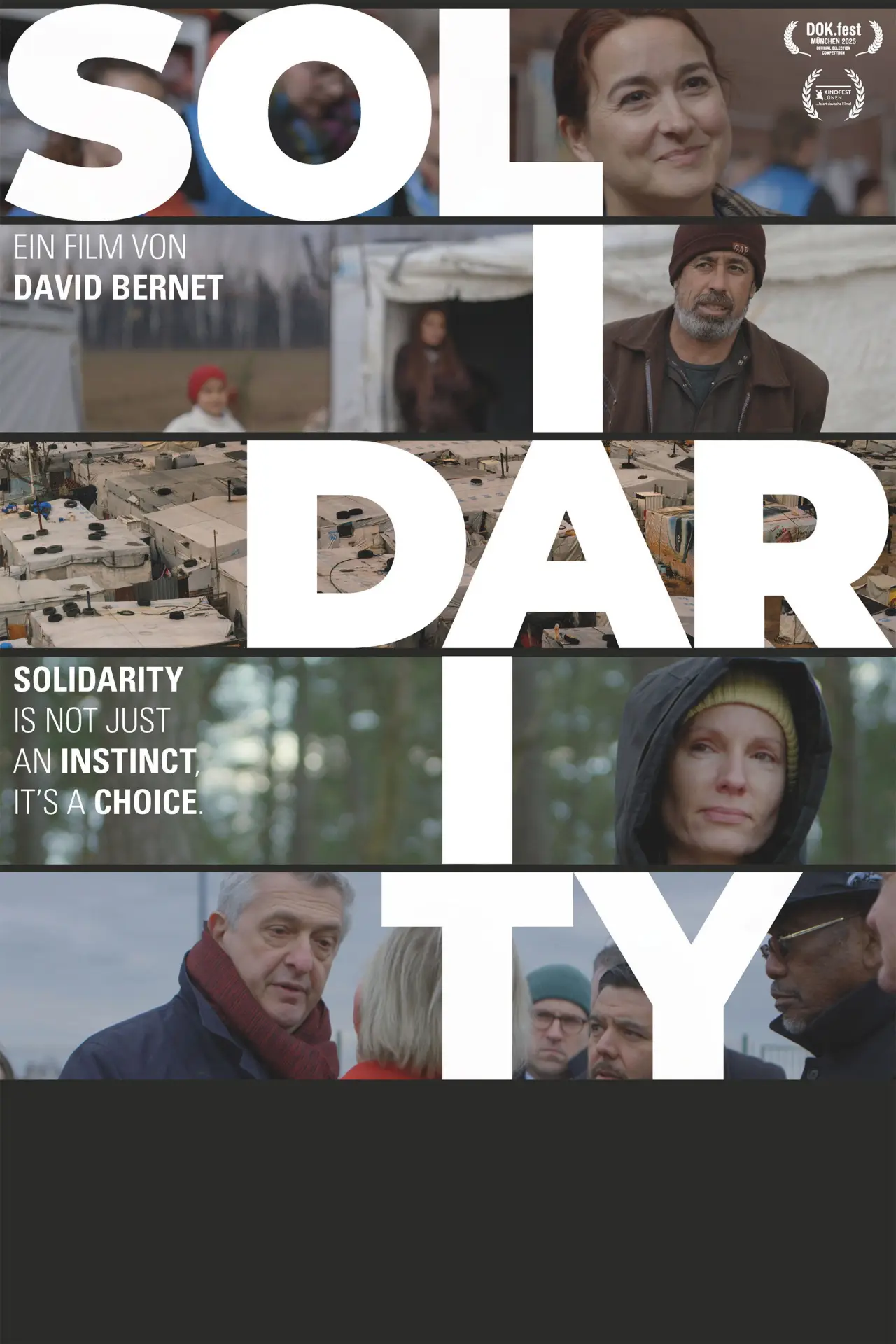 Постер к фильму "Solidarity"