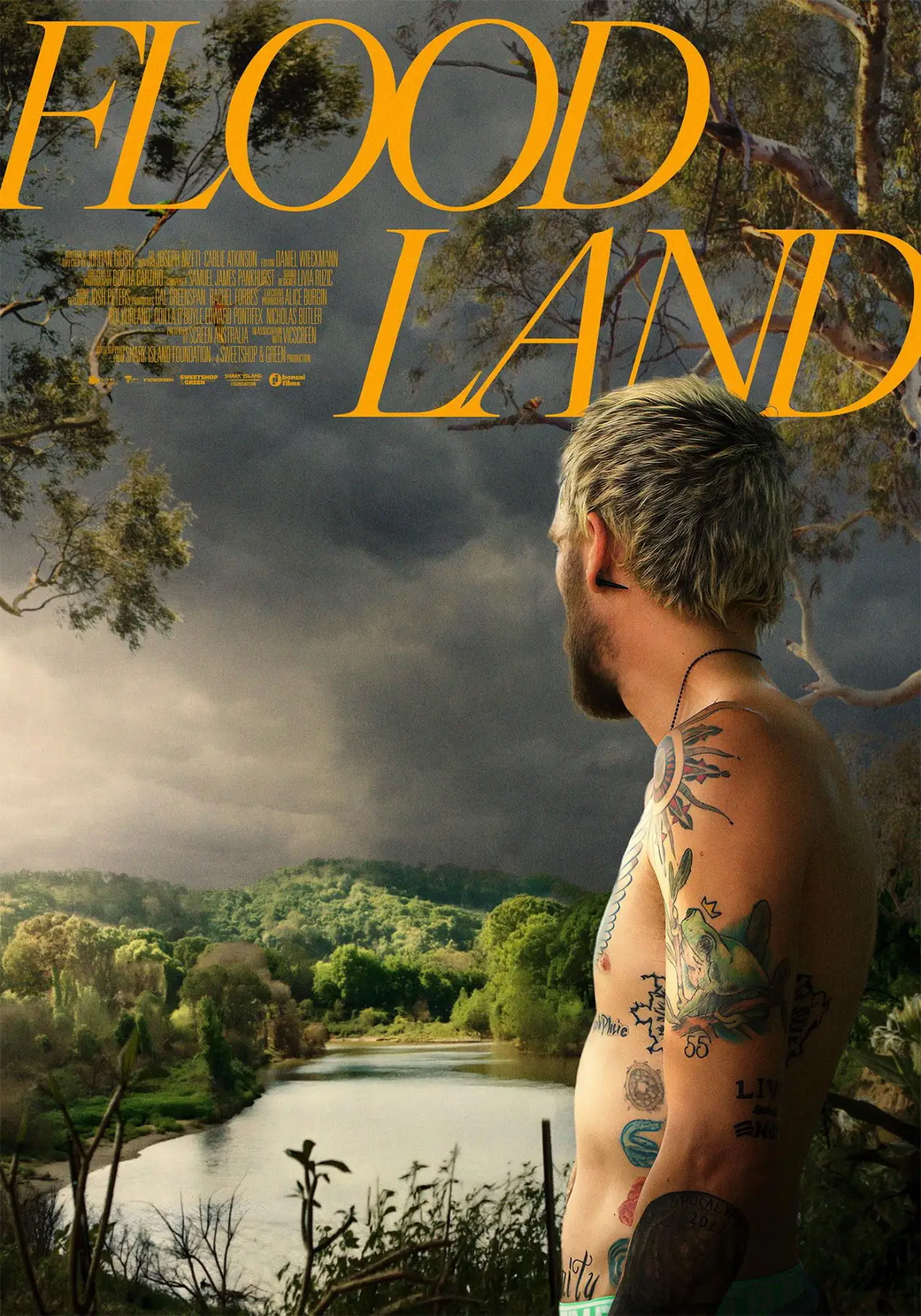 Постер к фильму "Floodland"