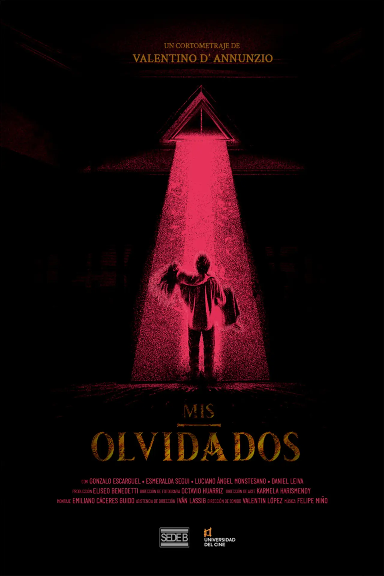 Постер к фильму "Mis Olvidados"