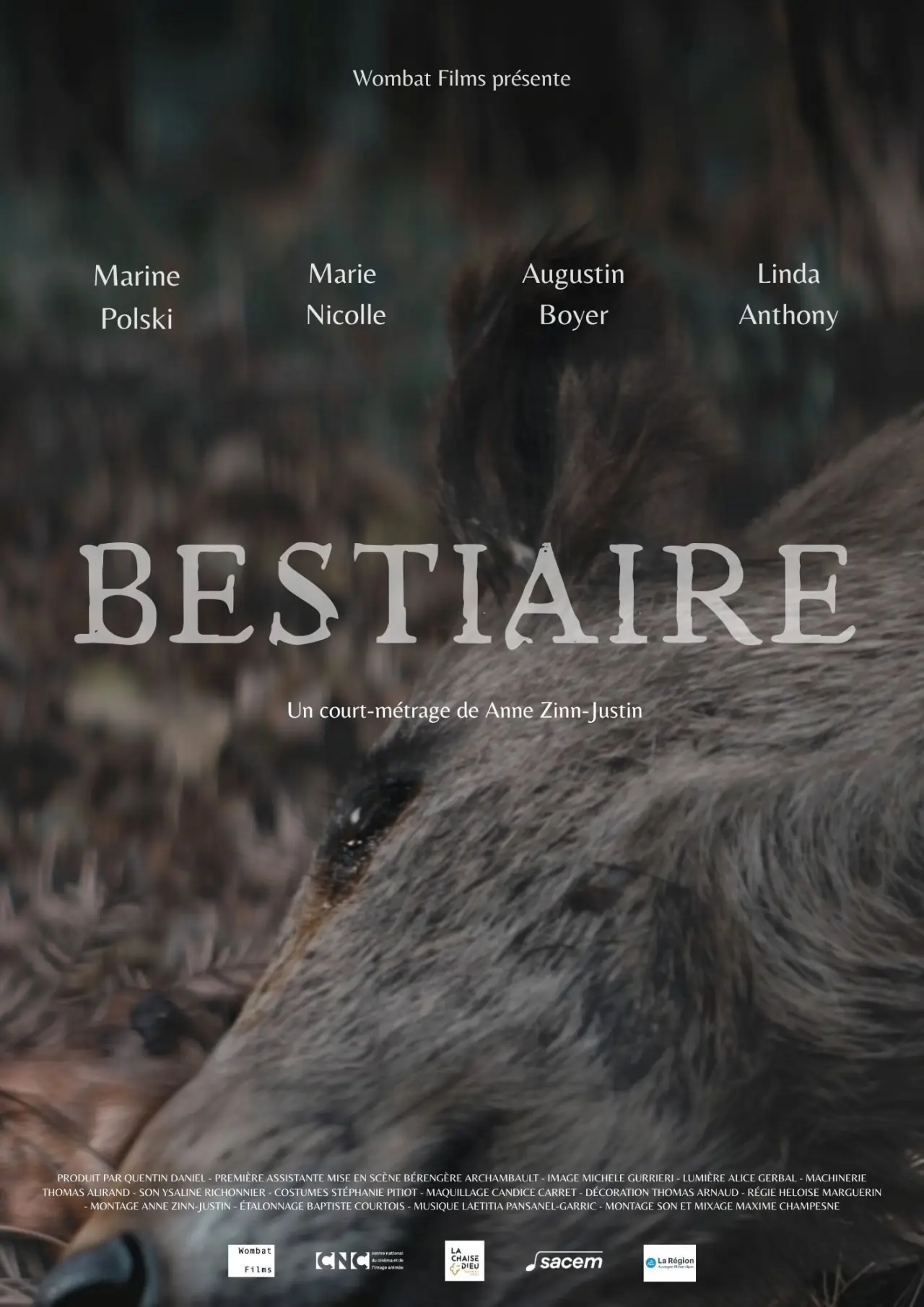 Постер к фильму "Bestiaire"