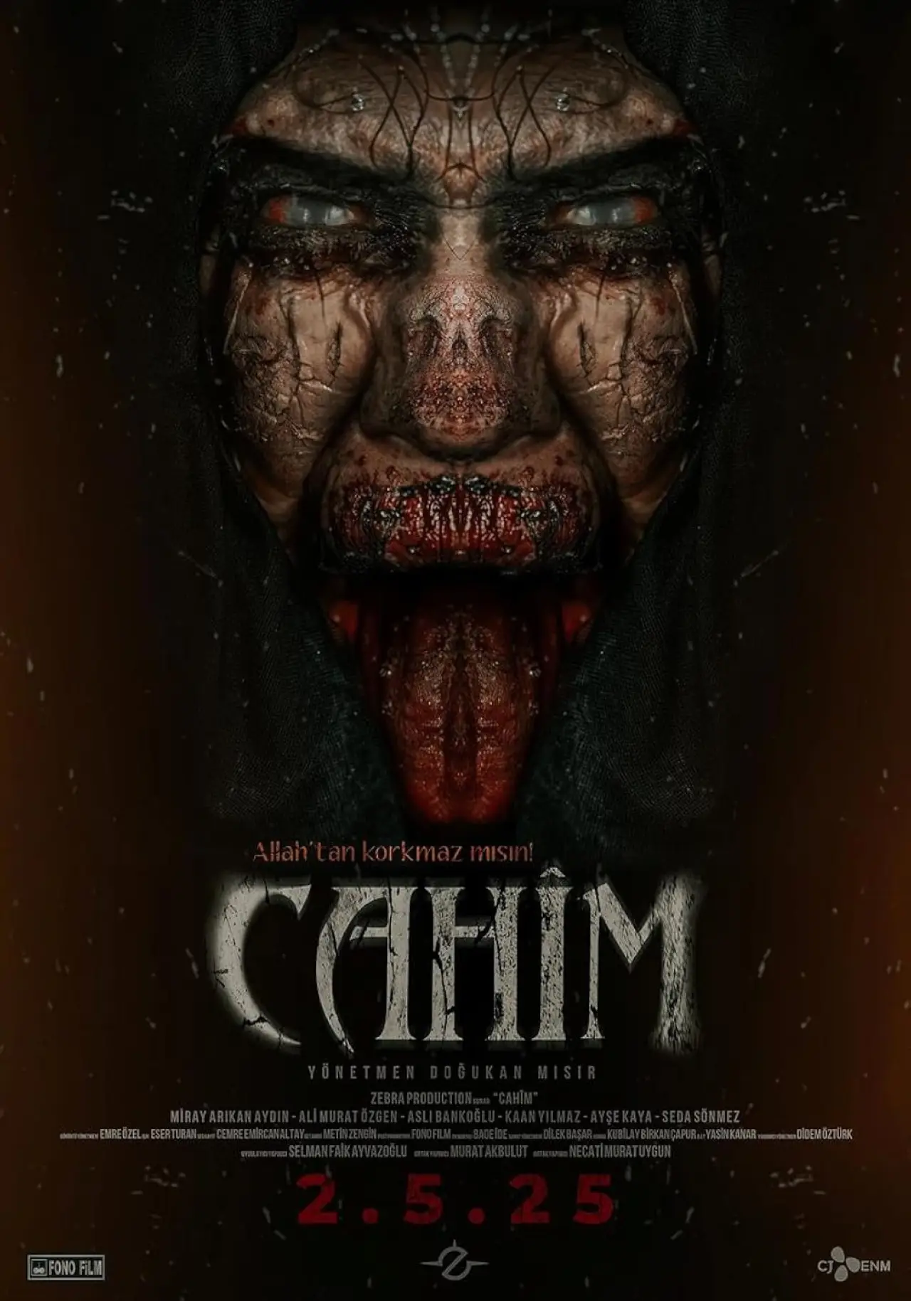Постер к фильму "Cahim"
