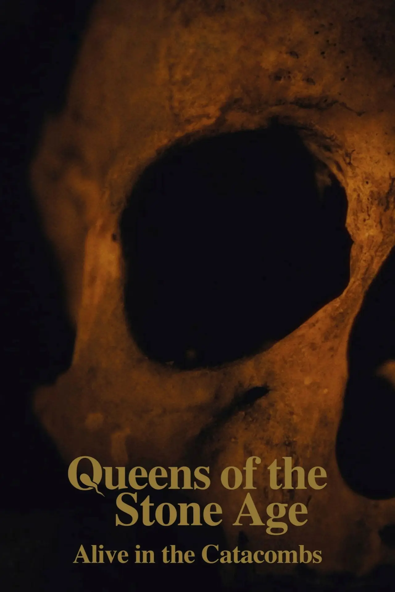 Постер к фильму "Queens of the Stone Age: Alive in the Catacombs"