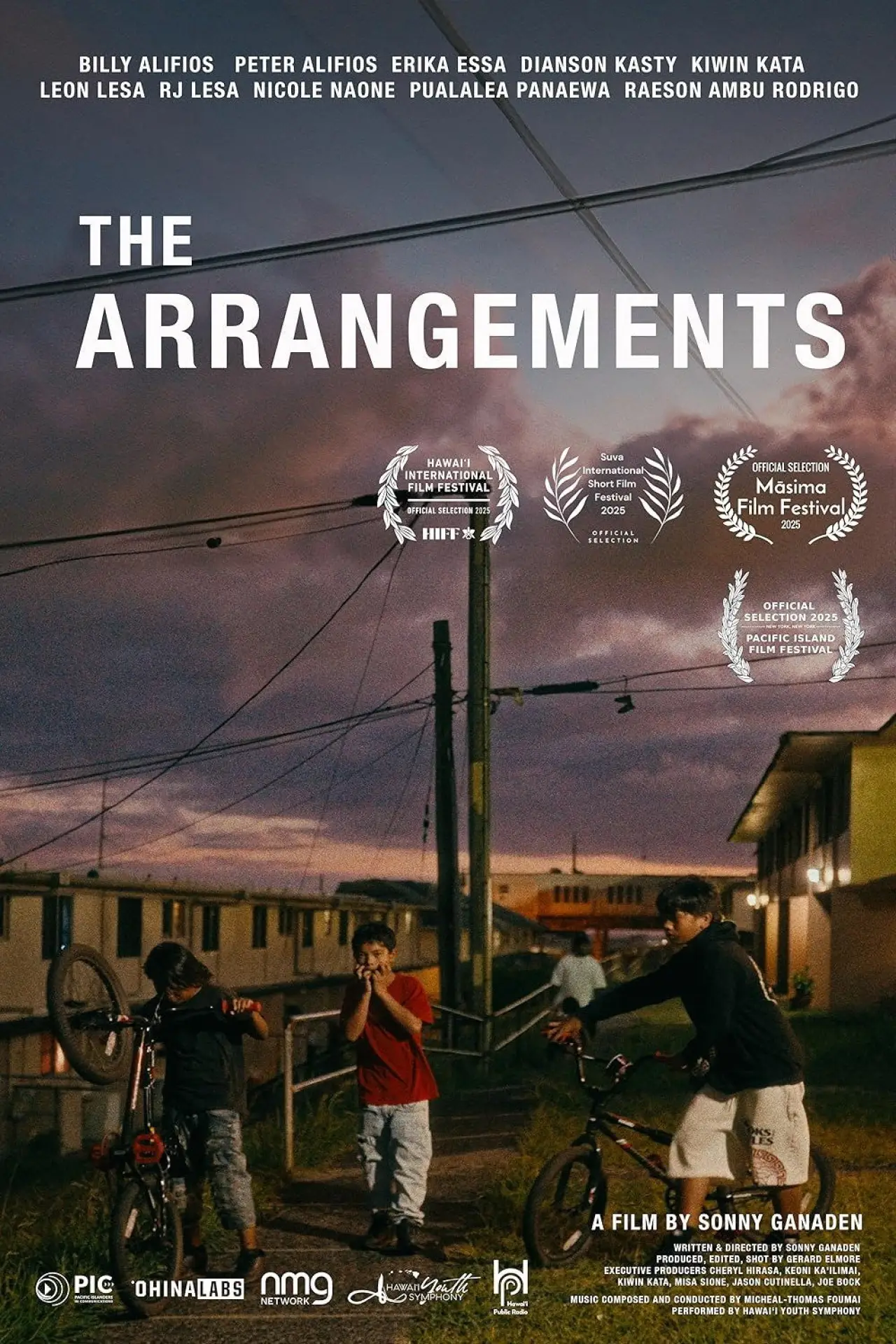 Постер к фильму "The Arrangements"