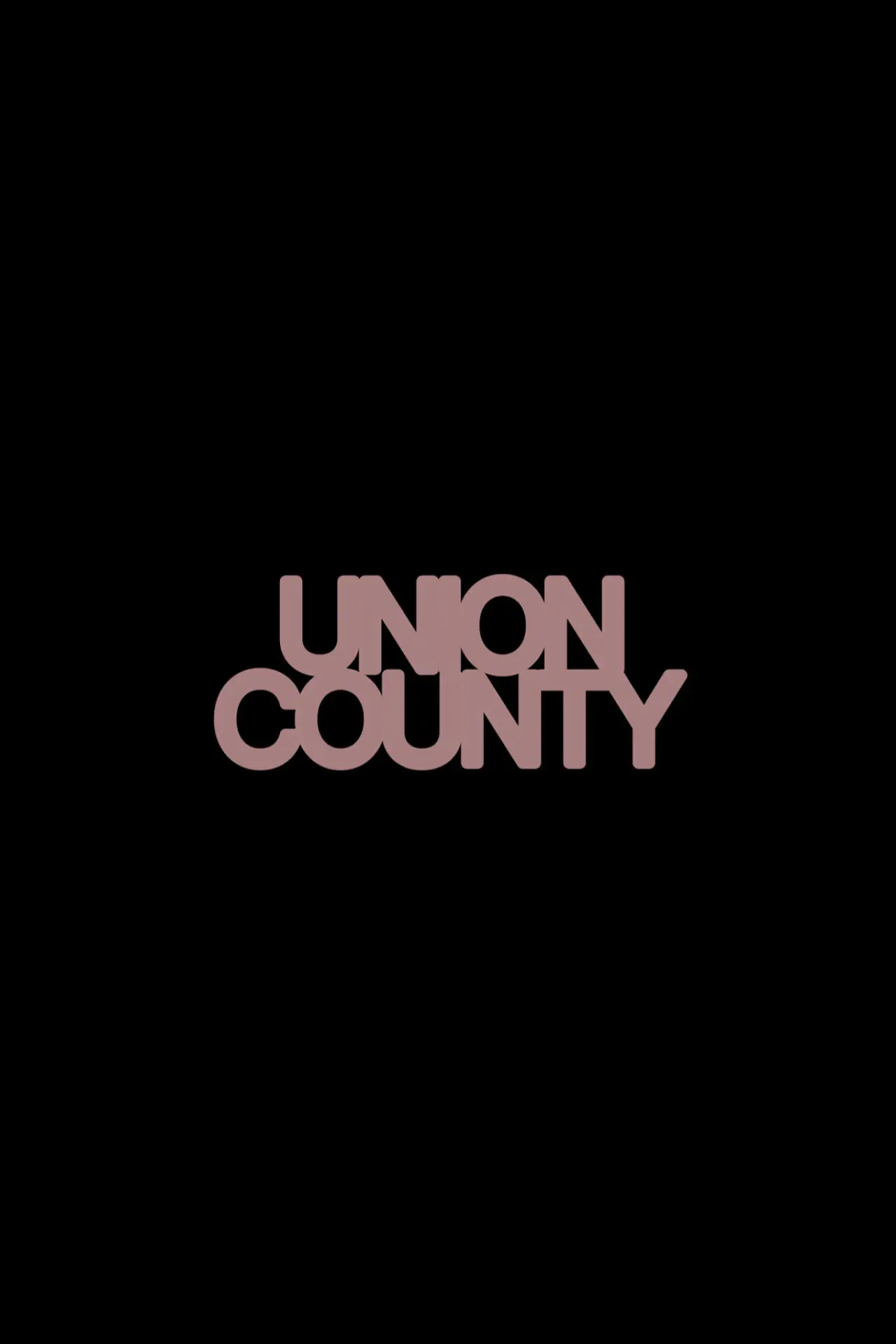Постер к фильму "Union County"