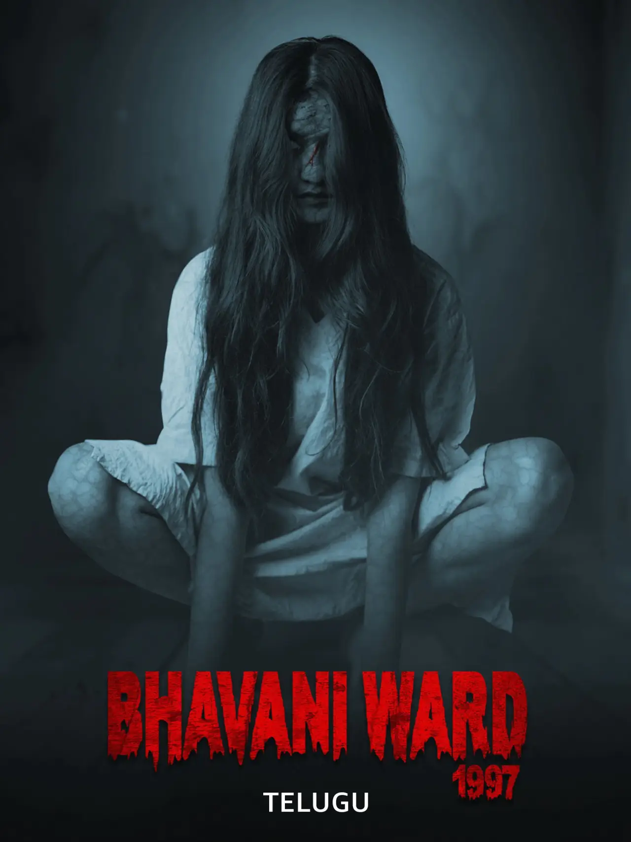 Постер к фильму "Bhavani Ward 1997"