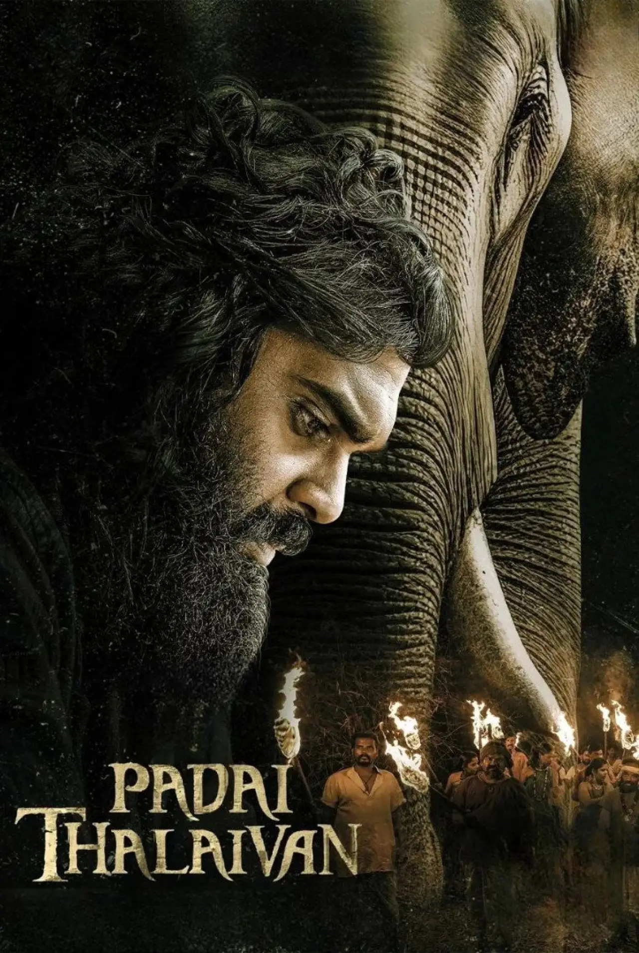 Постер к фильму "படைத் தலைவன்"