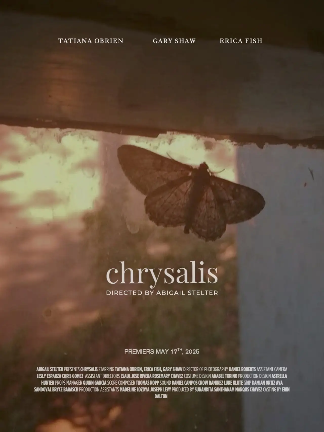Постер к фильму "Chrysalis"