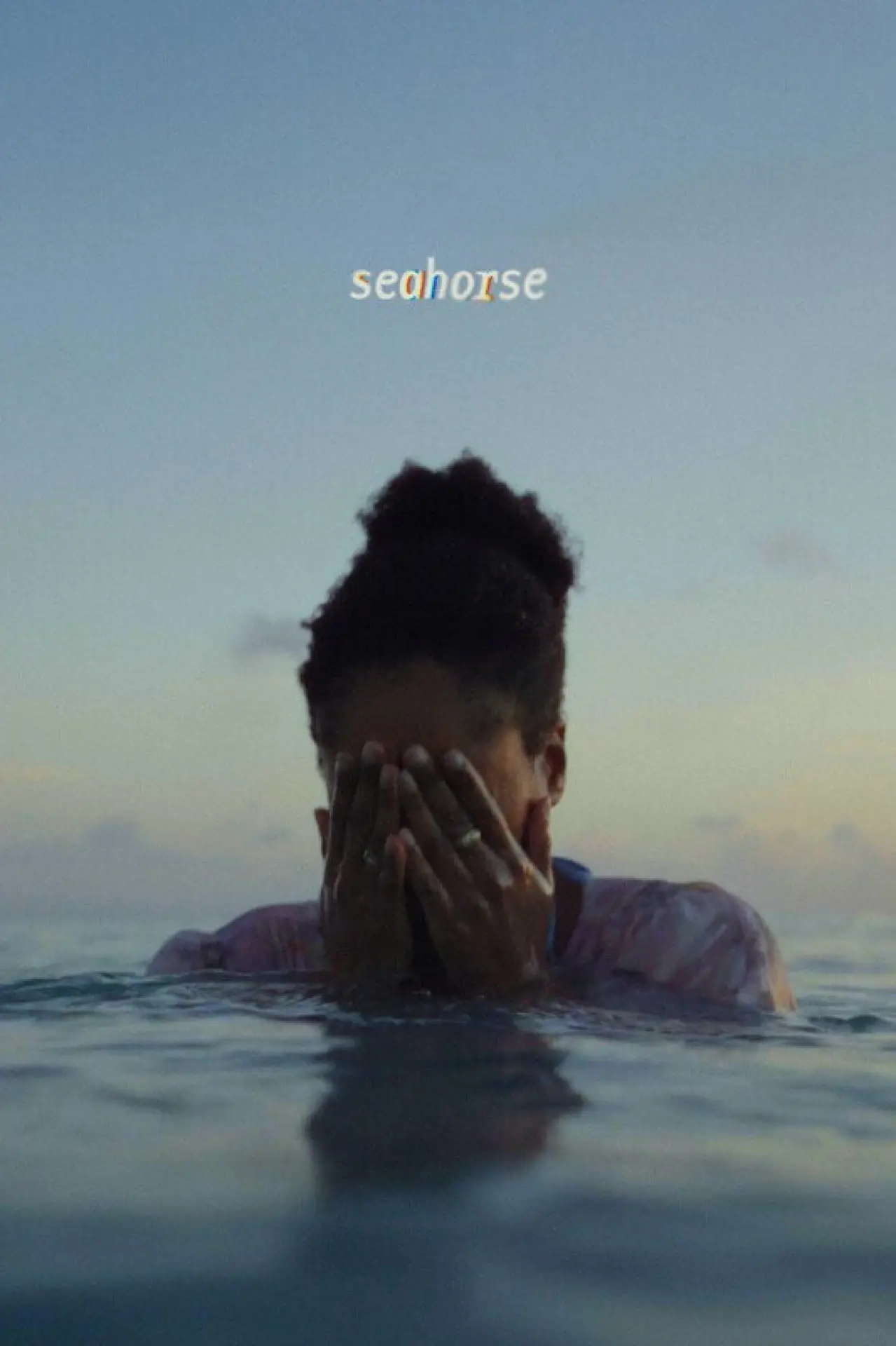 Постер к фильму "Seahorse"