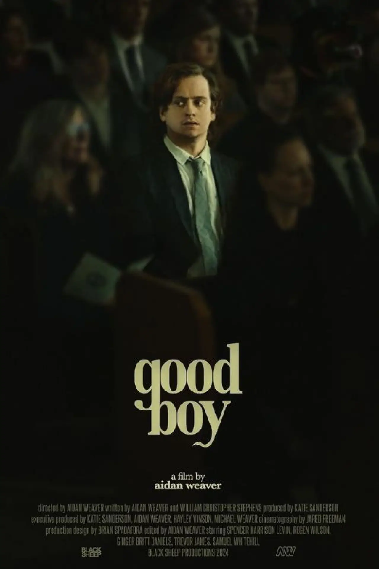 Постер к фильму "Good Boy"