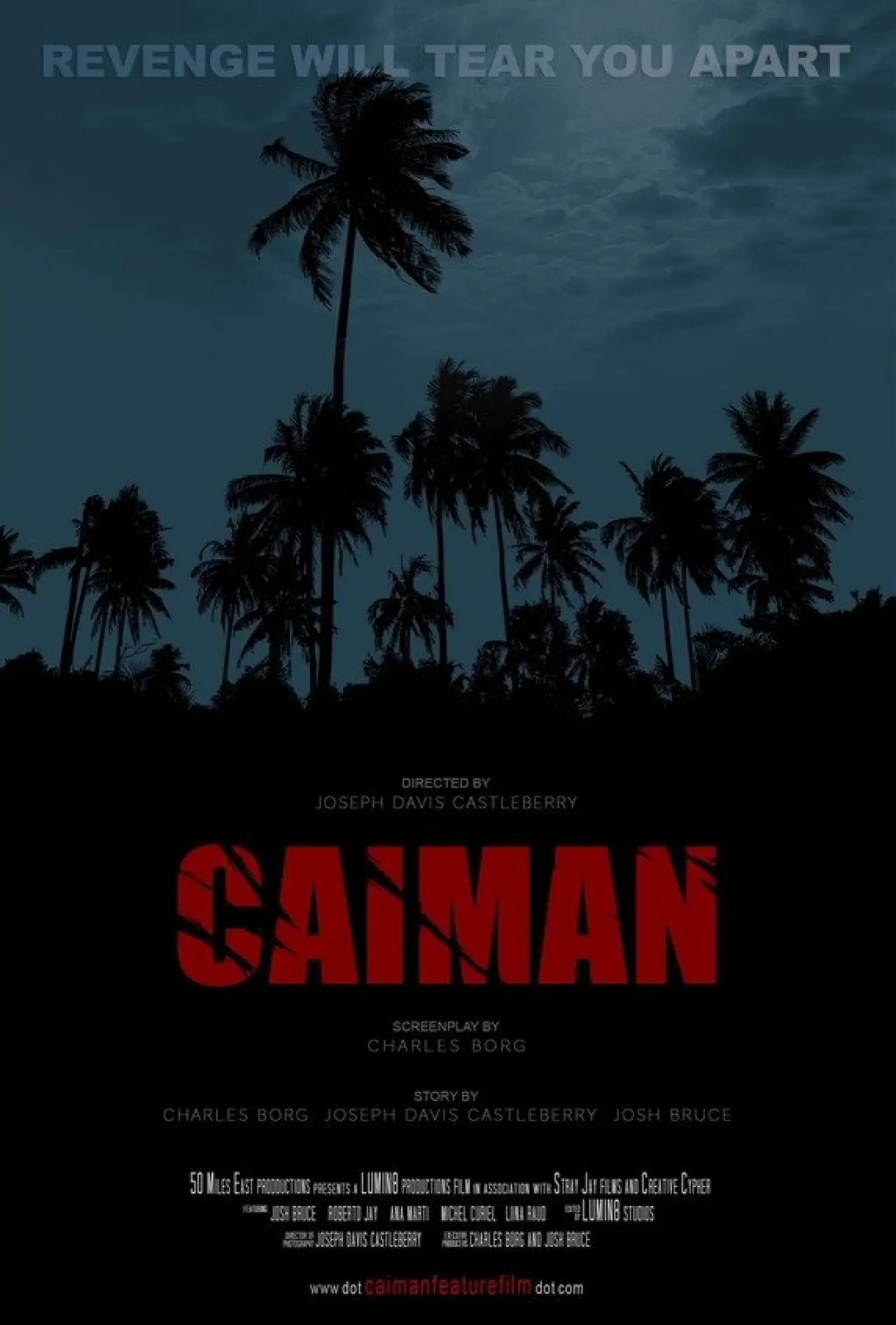 Постер к фильму "Caiman"