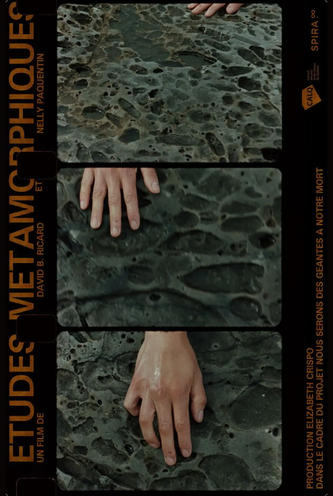 Постер к фильму "Études Métamorphiques"