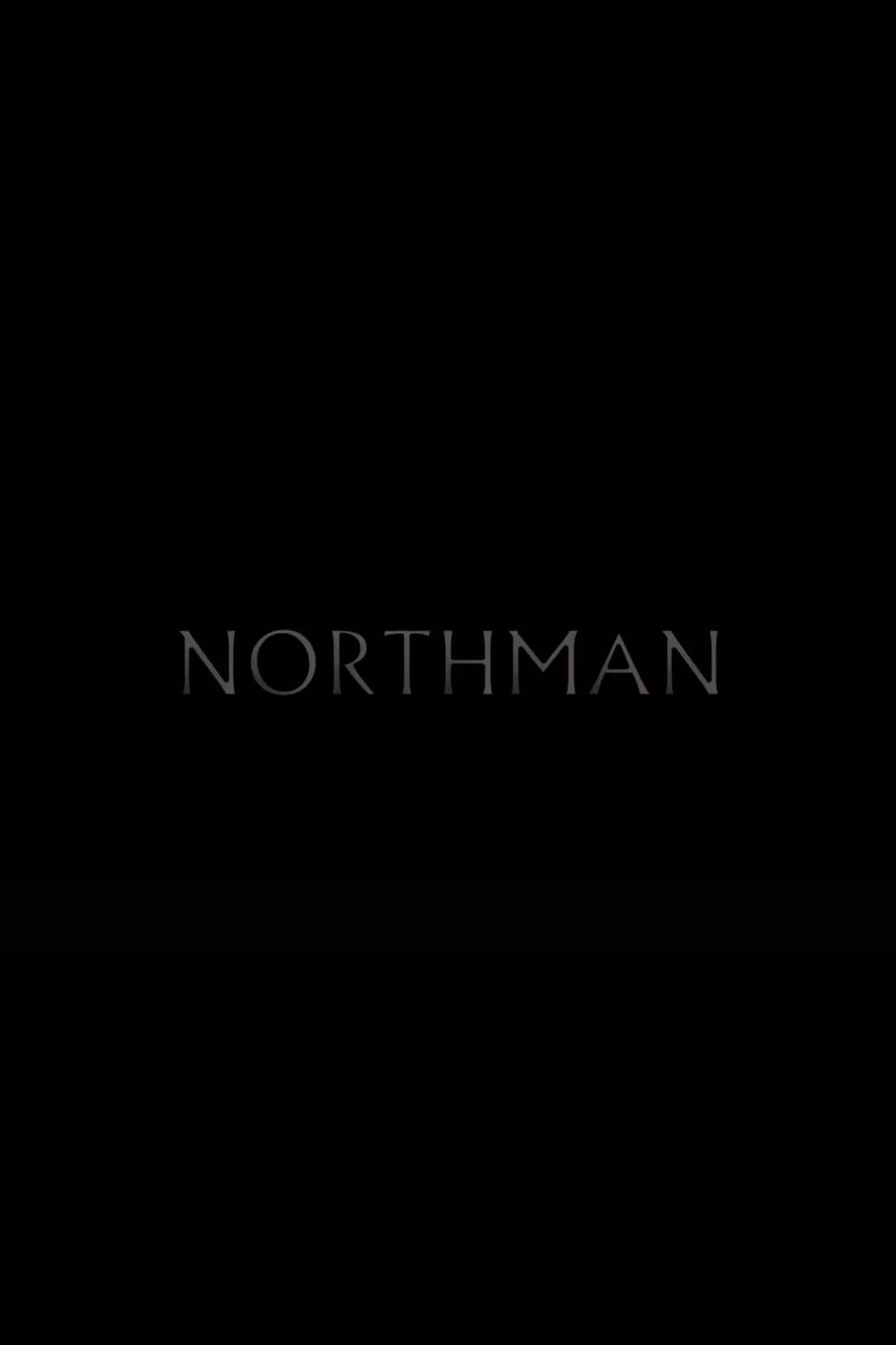 Постер к фильму "Northman"