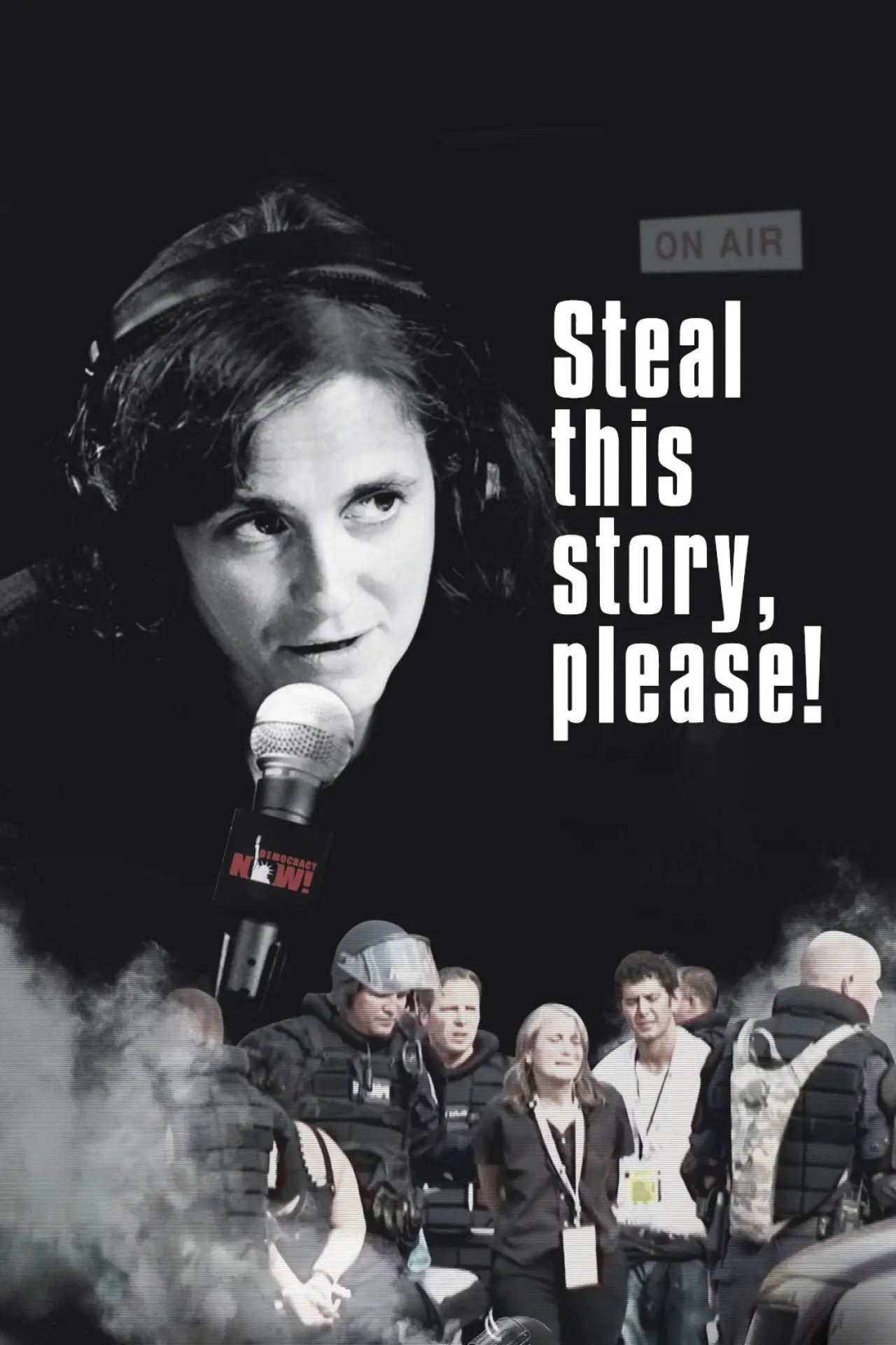 Постер к фильму "Steal This Story, Please!"