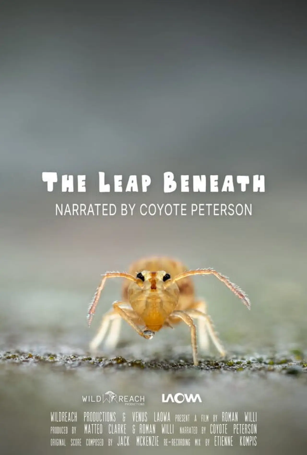 Постер к фильму "The Leap Beneath"